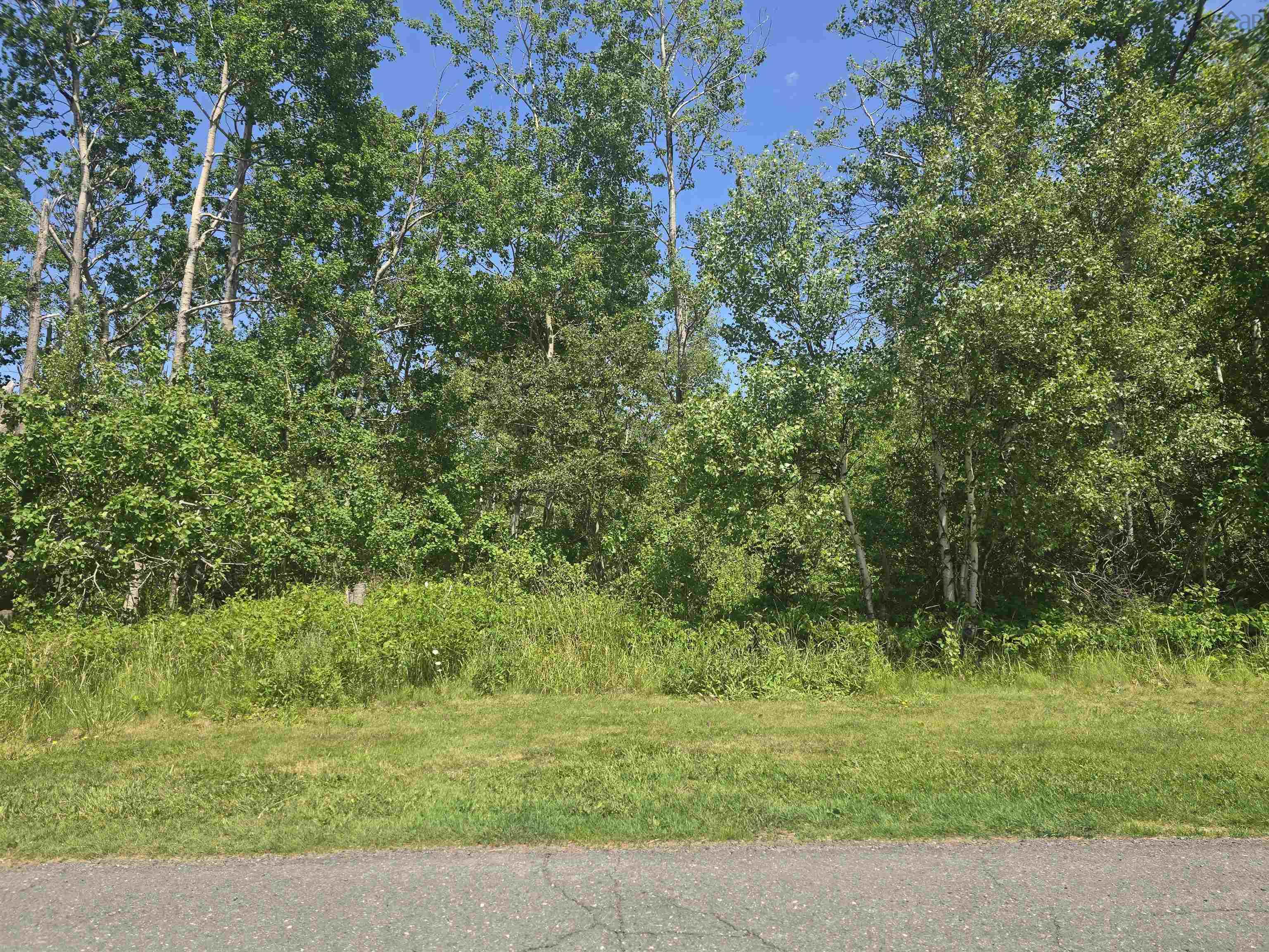 $37,500.00: Lot Duke Street, Trenton