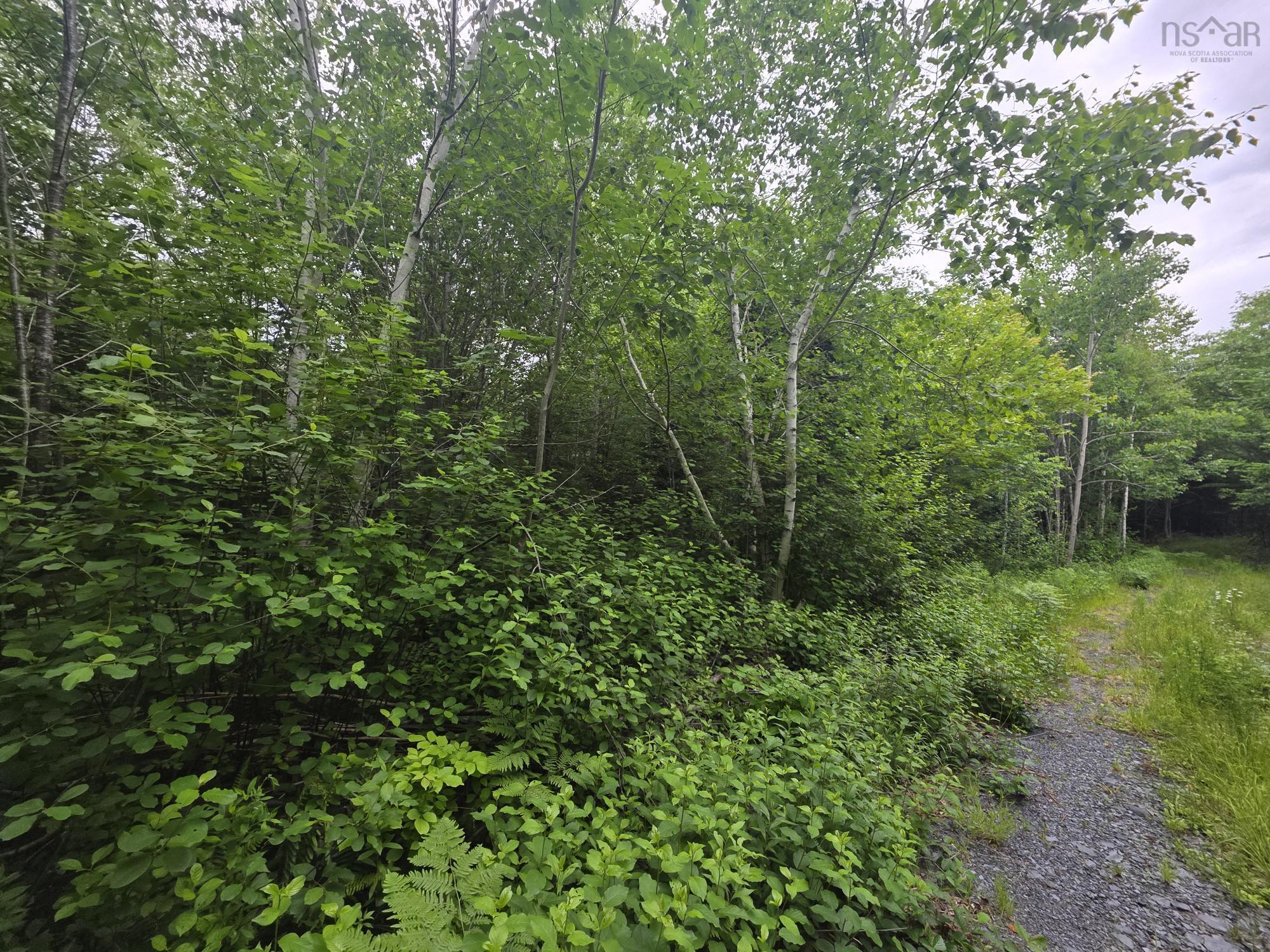 $50,000.00: Clark Road, Bear River