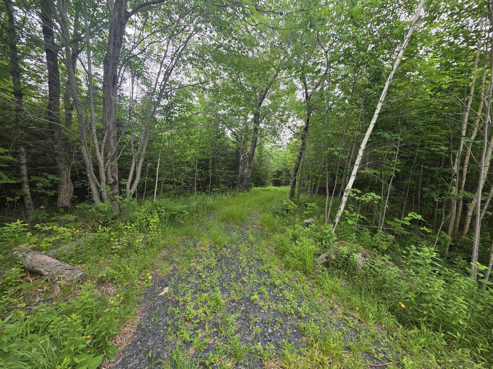 $50,000.00: Clark Road, Bear River