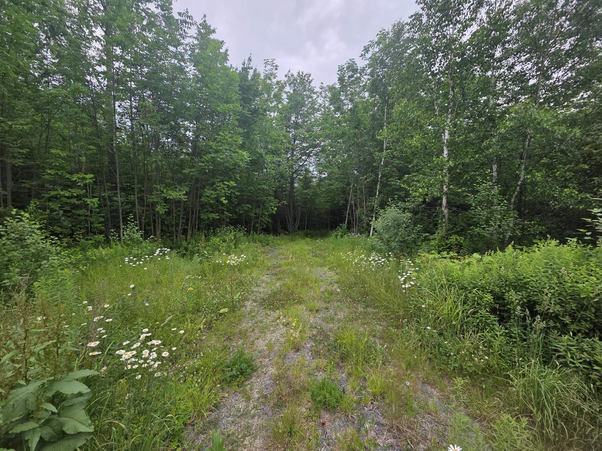 $50,000.00: Clark Road, Bear River