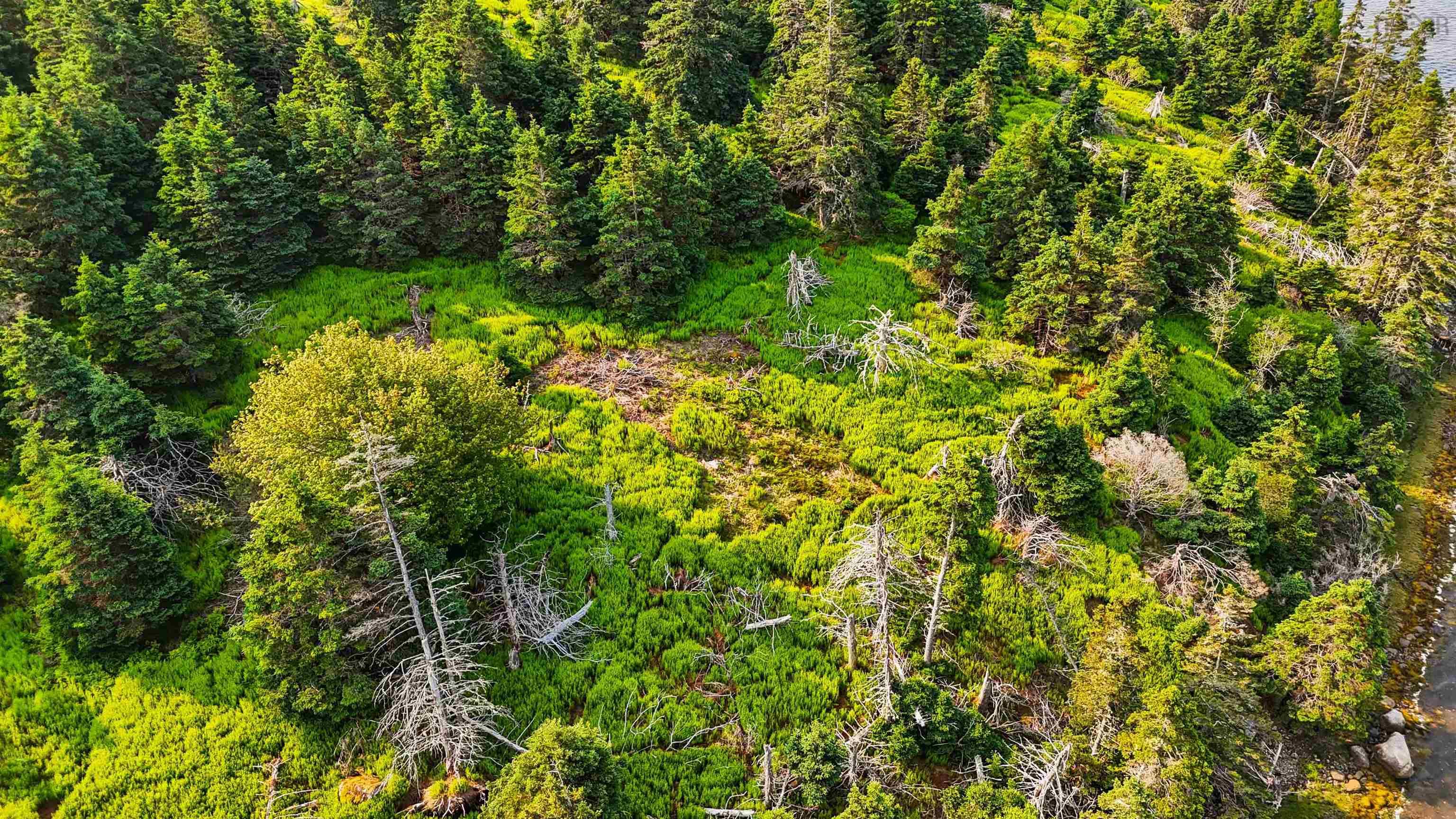 0 Maclellon Island, East Chezzetcook, NS (MLS 202516002)