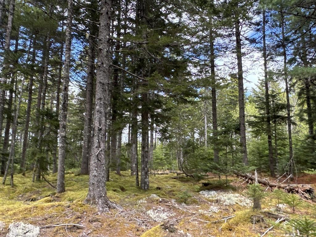 $1,999,000.00: Acreage NO 101 Highway, Ardoise
