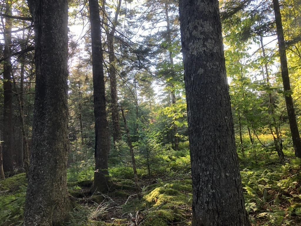 $1,999,000.00: Acreage NO 101 Highway, Ardoise