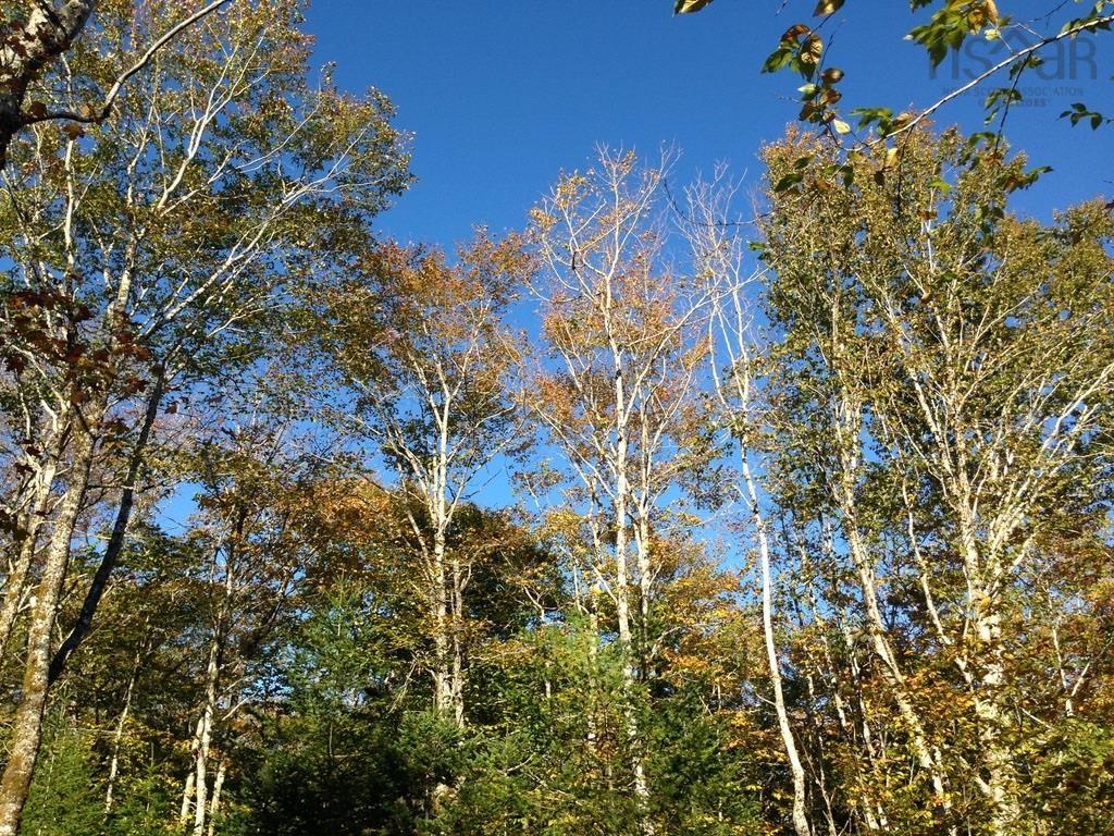 $1,999,000.00: Acreage NO 101 Highway, Ardoise