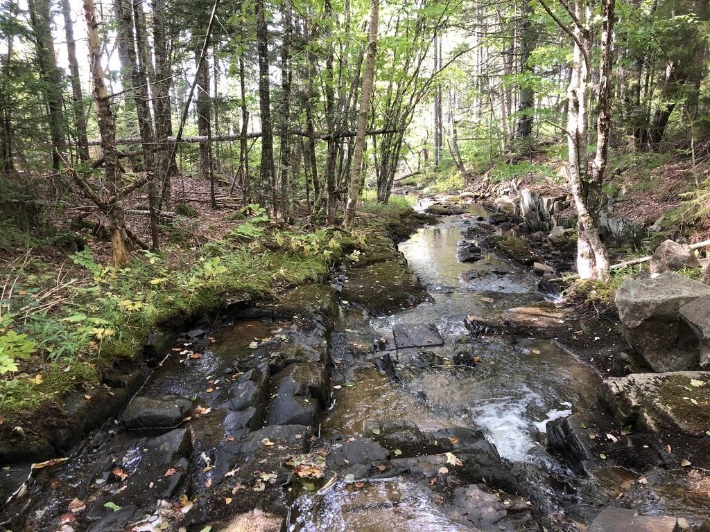$1,999,000.00: Acreage NO 101 Highway, Ardoise