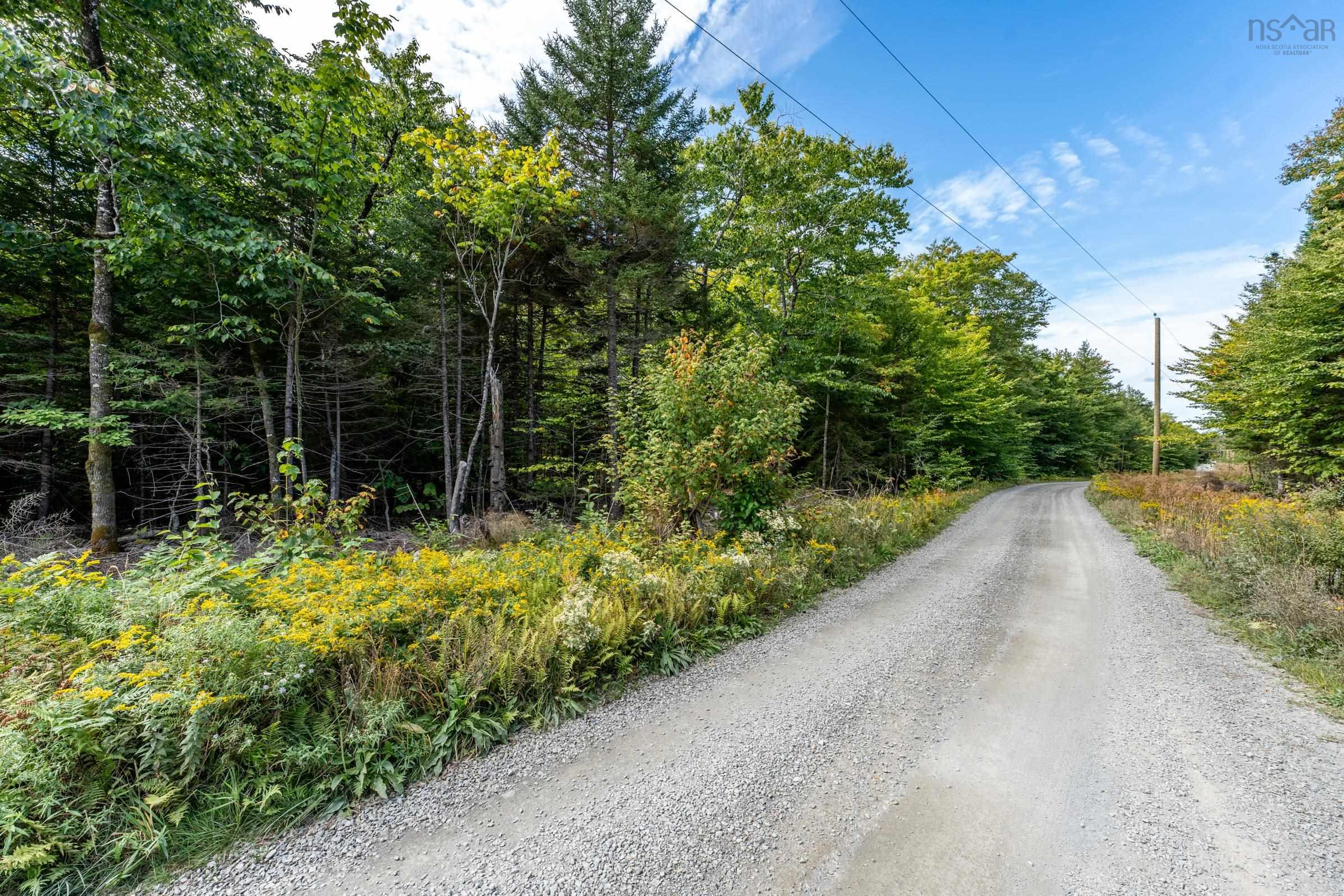 $29,500.00: Lot 3 Chemin Theriault Point Road, Belliveaus Cove