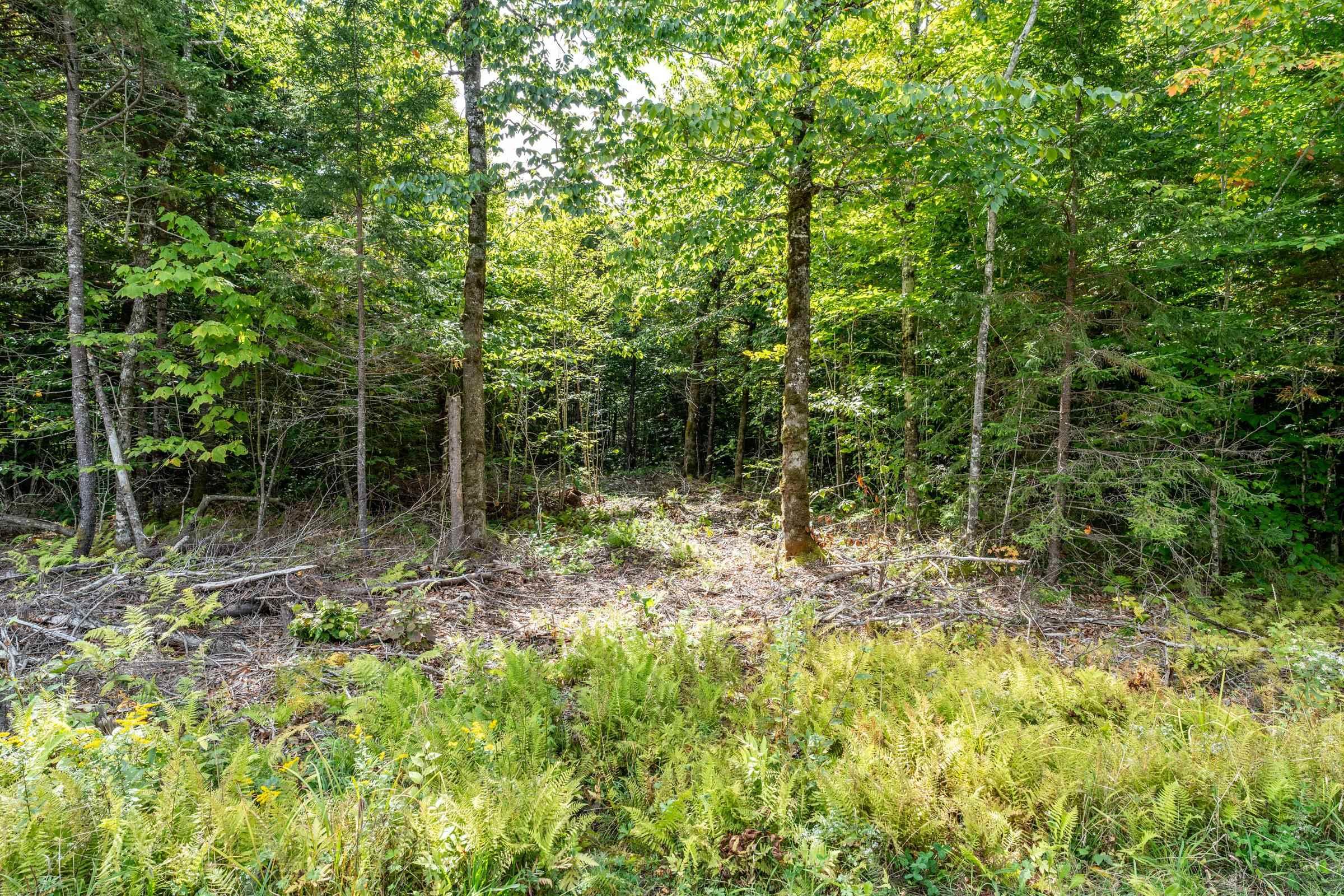 $29,500.00: Lot 3 Chemin Theriault Point Road, Belliveaus Cove