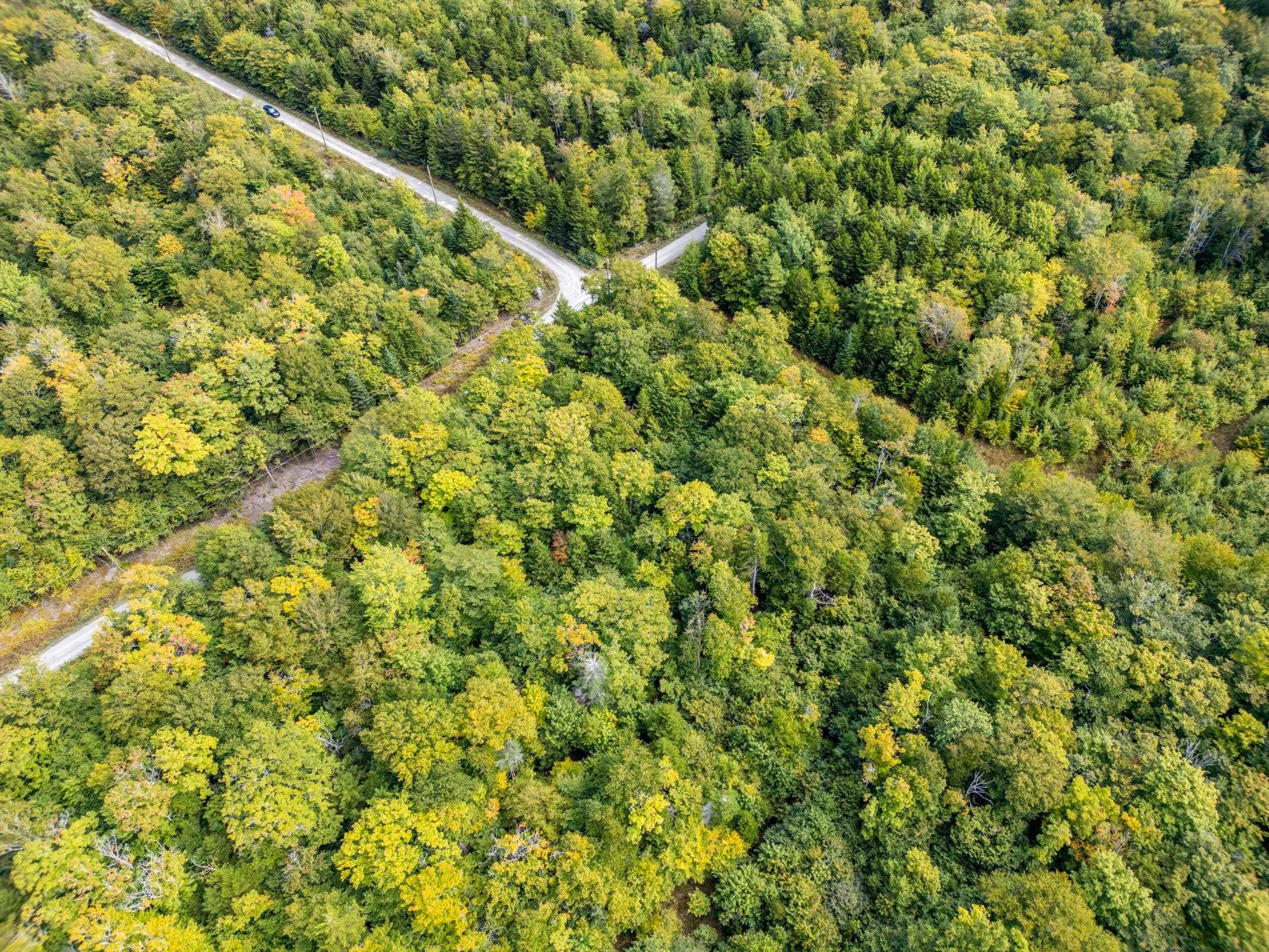 $29,500.00: Lot 3 Chemin Theriault Point Road, Belliveaus Cove