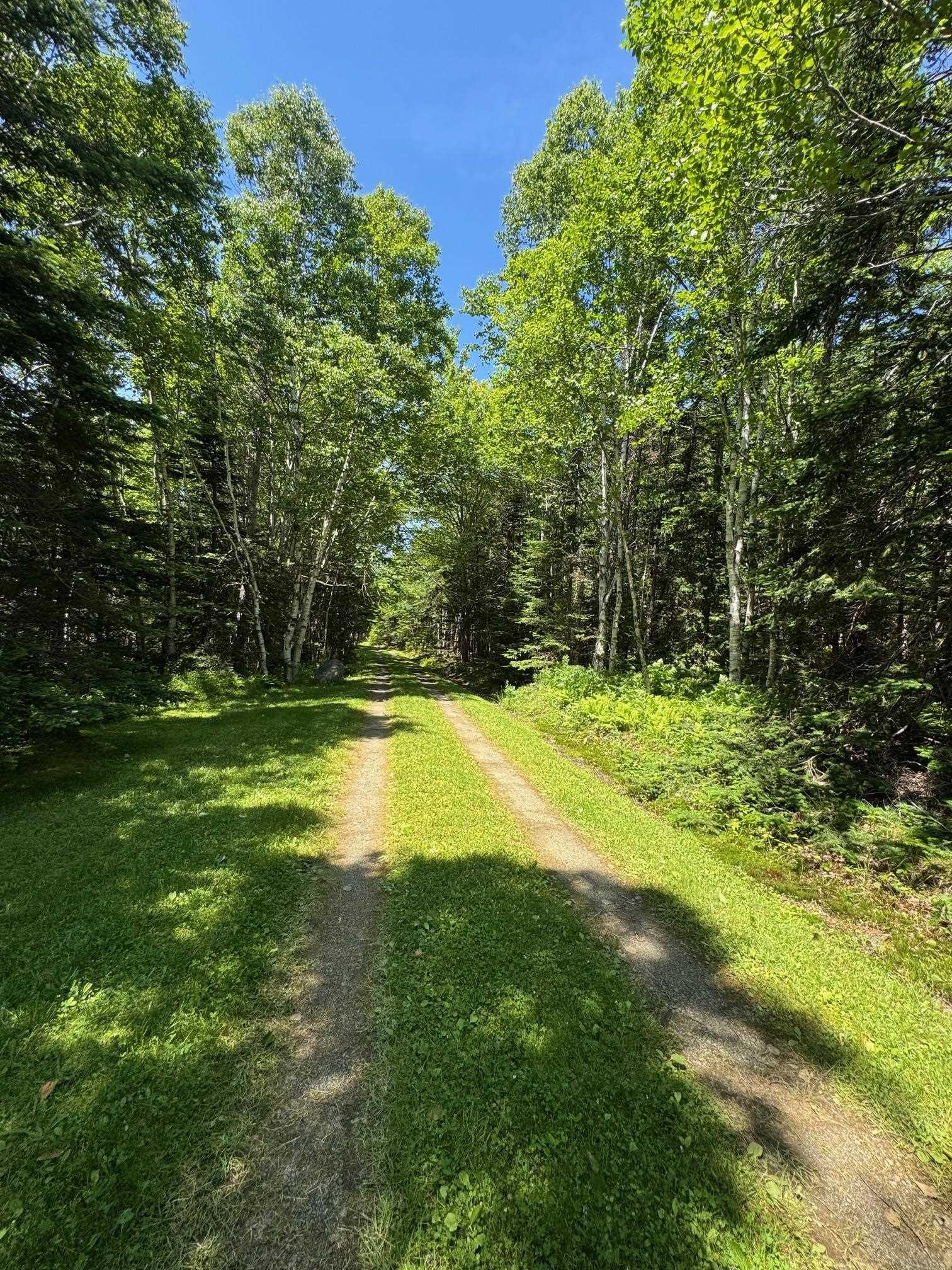 $399,000.00: 64 Birch Pond Lane, West Bay Marshes