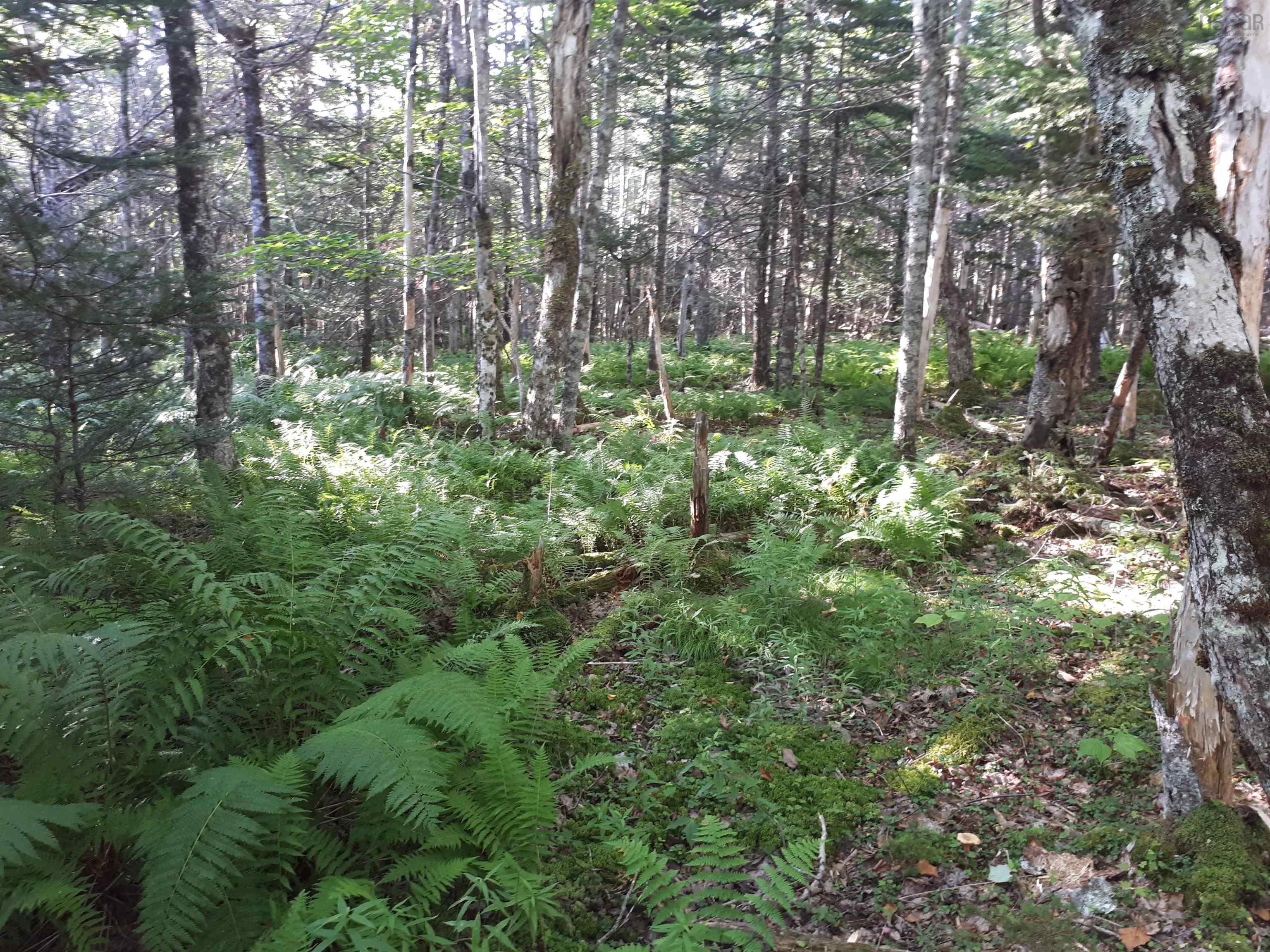 $98,000.00: Lot 1A Birch Crescent, Cape George Estates