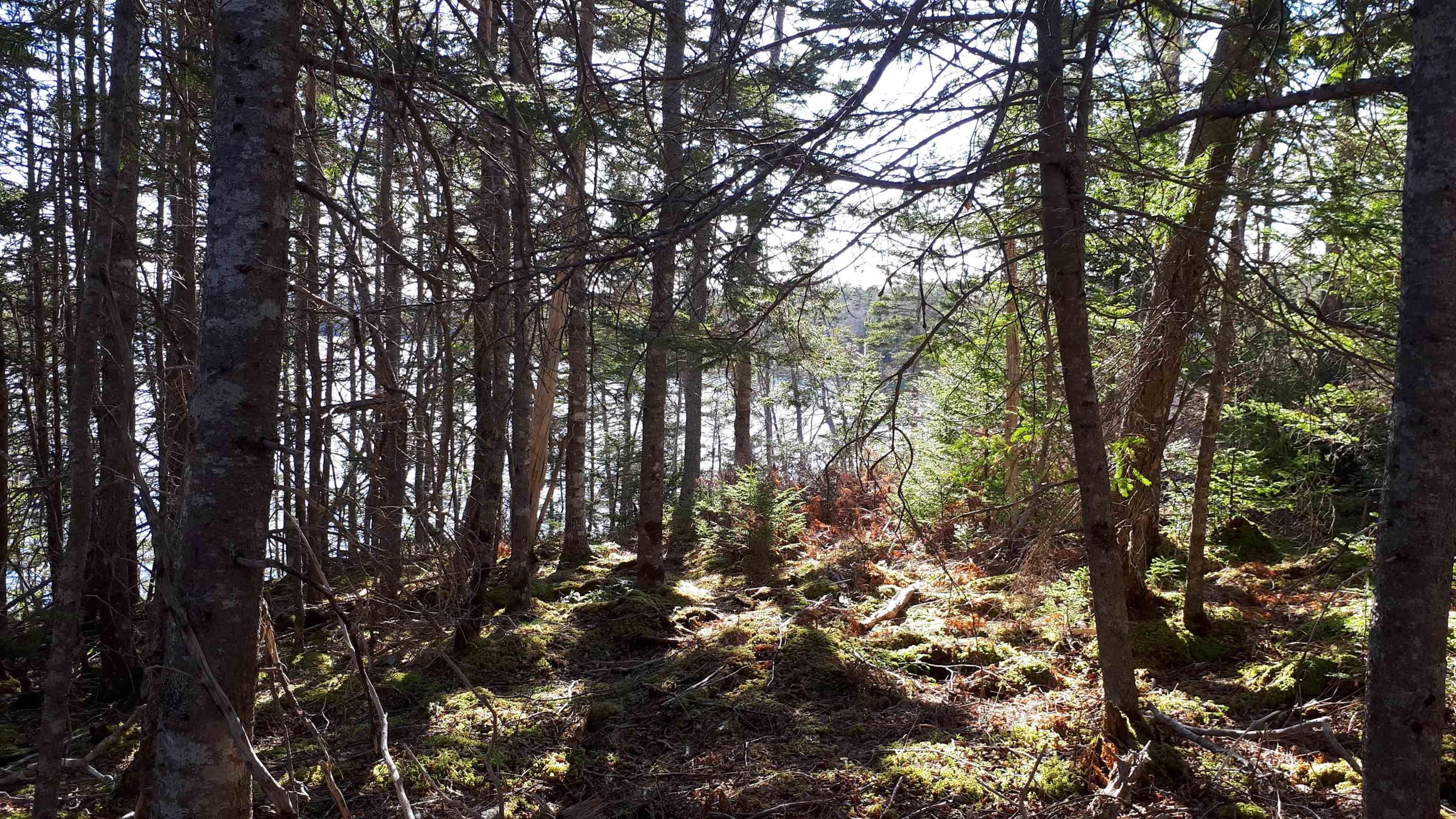 $98,000.00: Lot 1A Birch Crescent, Cape George Estates