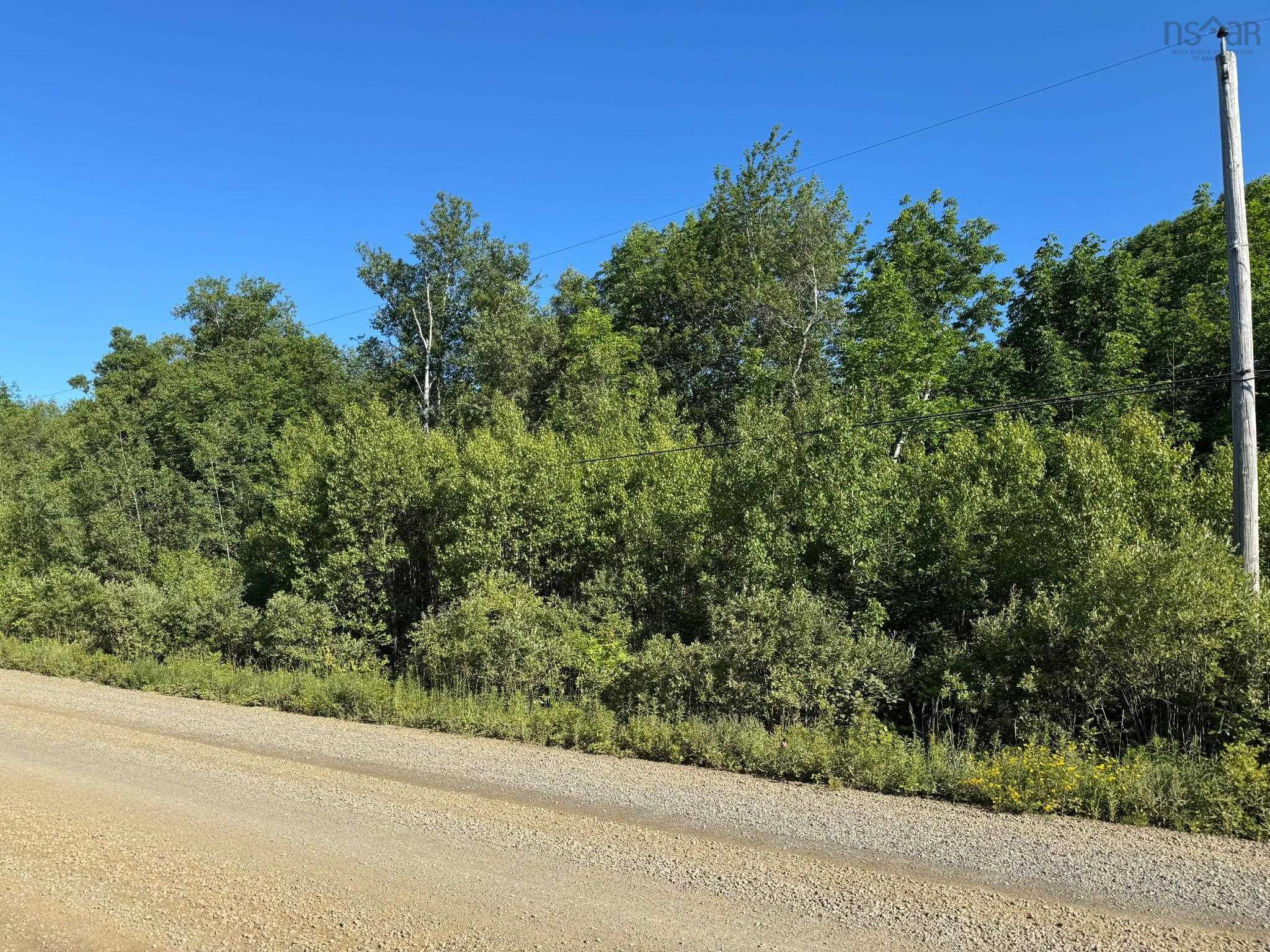 Lot 2001 Long Beach Road, Glenmont, NS (MLS® 202516393)