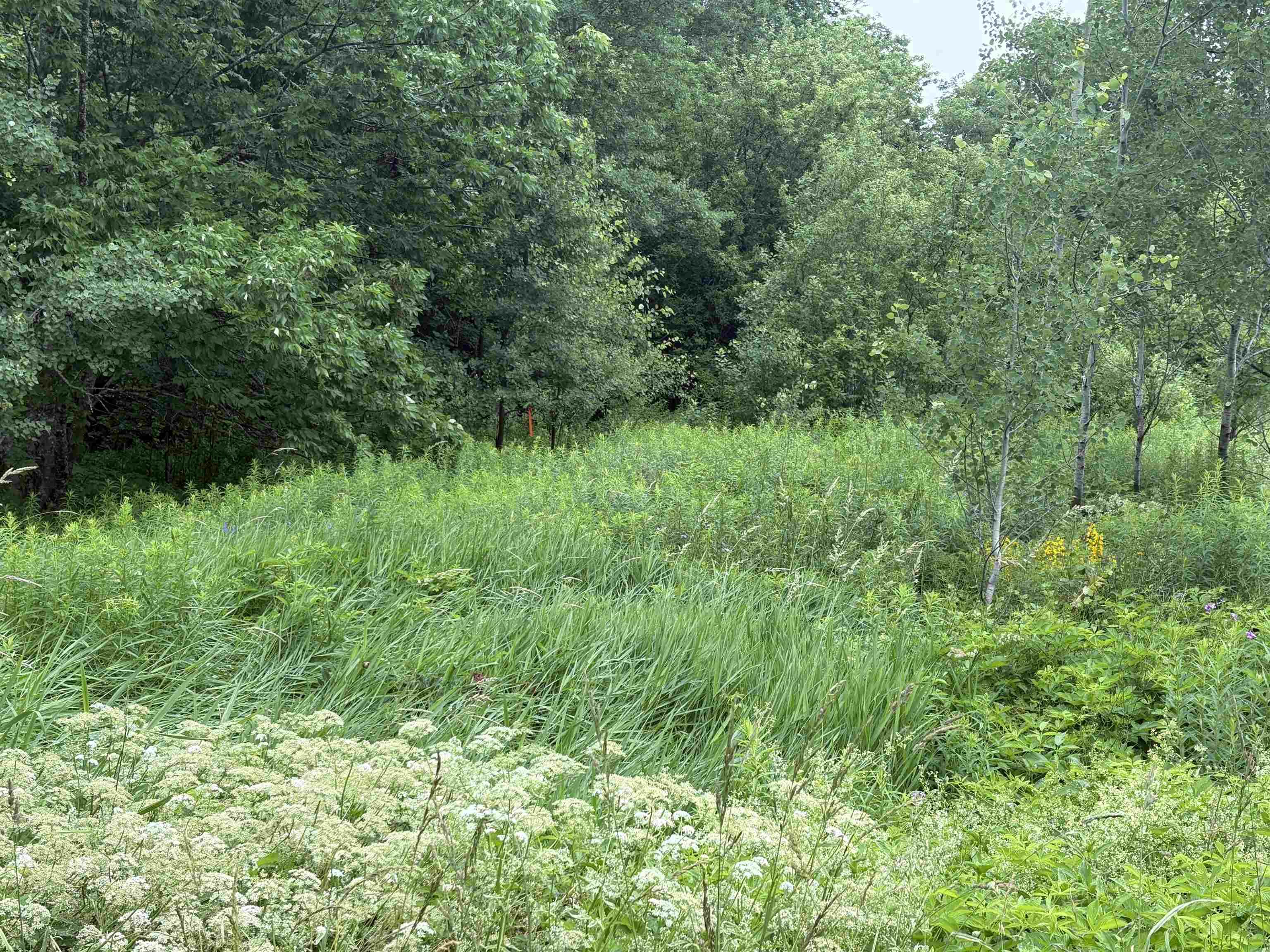 $39,900.00: Lot 235 Landsdowne Station Road, Lansdowne Station