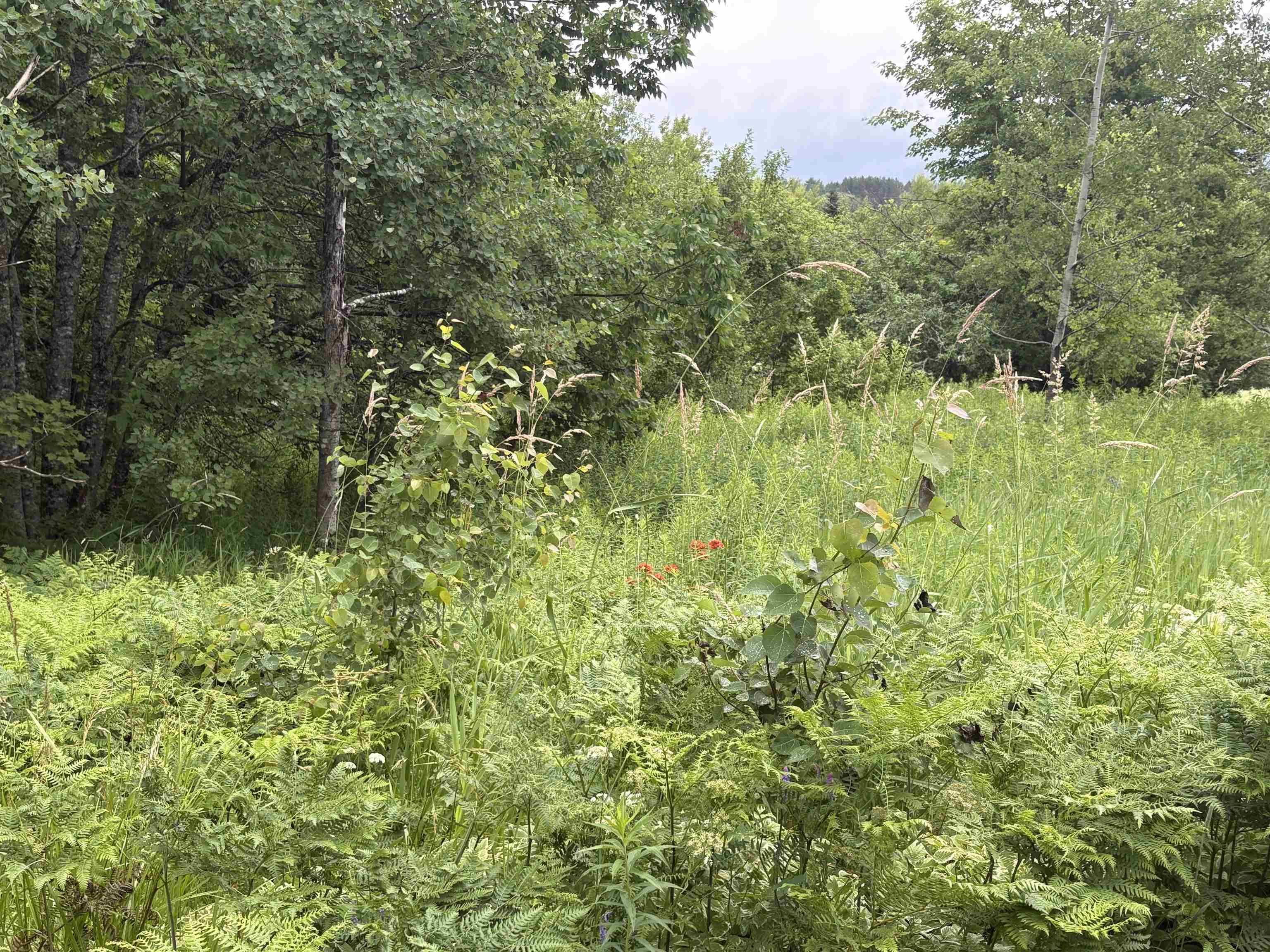 $39,900.00: Lot 235 Landsdowne Station Road, Lansdowne Station