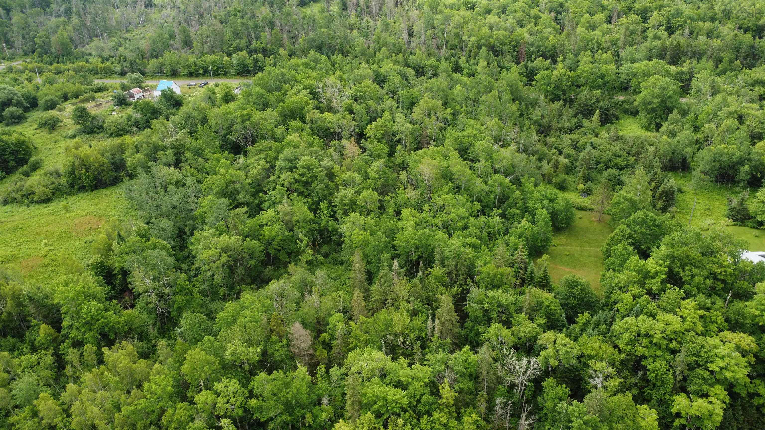 $39,900.00: Lot 235 Landsdowne Station Road, Lansdowne Station
