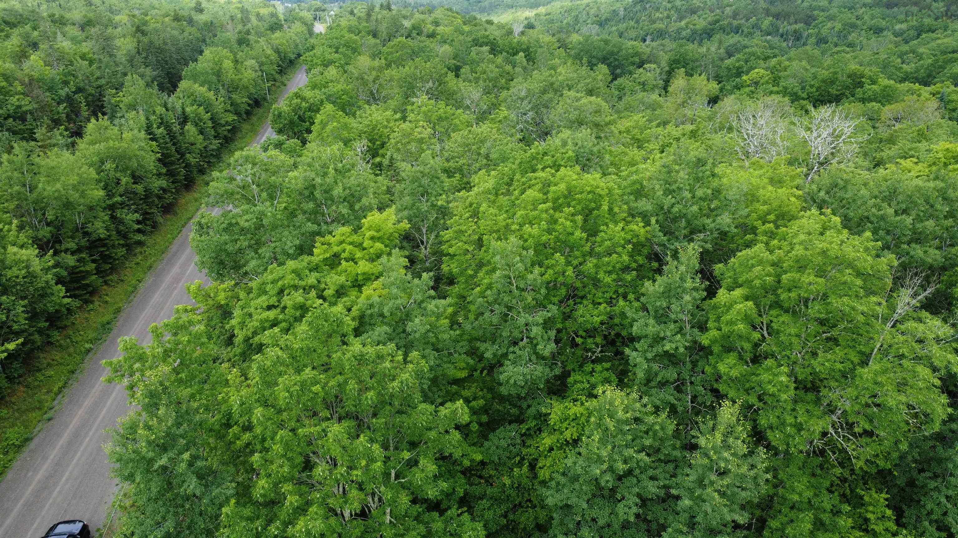 $39,900.00: Lot 235 Landsdowne Station Road, Lansdowne Station