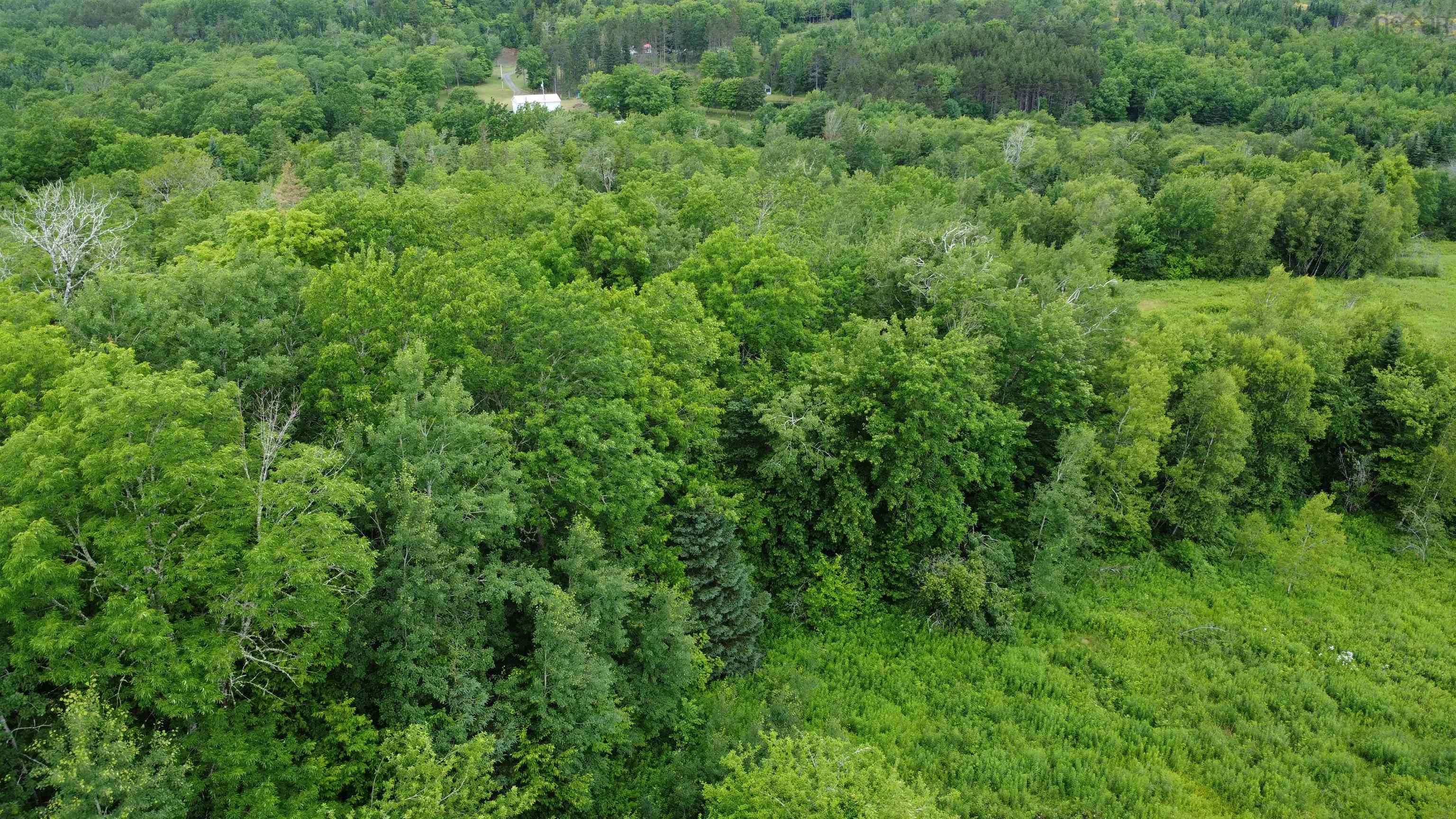 $39,900.00: Lot 235 Landsdowne Station Road, Lansdowne Station
