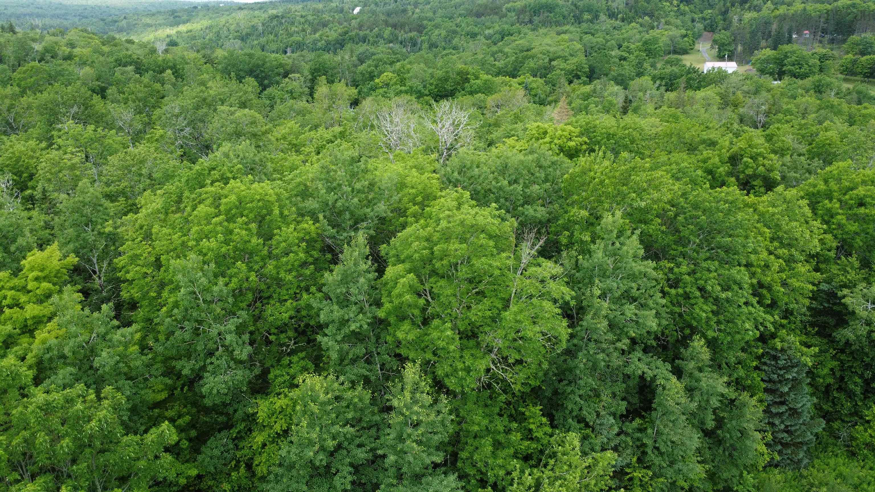 $39,900.00: Lot 235 Landsdowne Station Road, Lansdowne Station