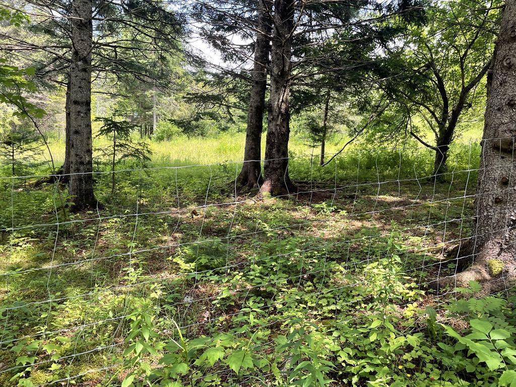 $374,900.00: 230 Arsenaults Hill Road, Margaree
