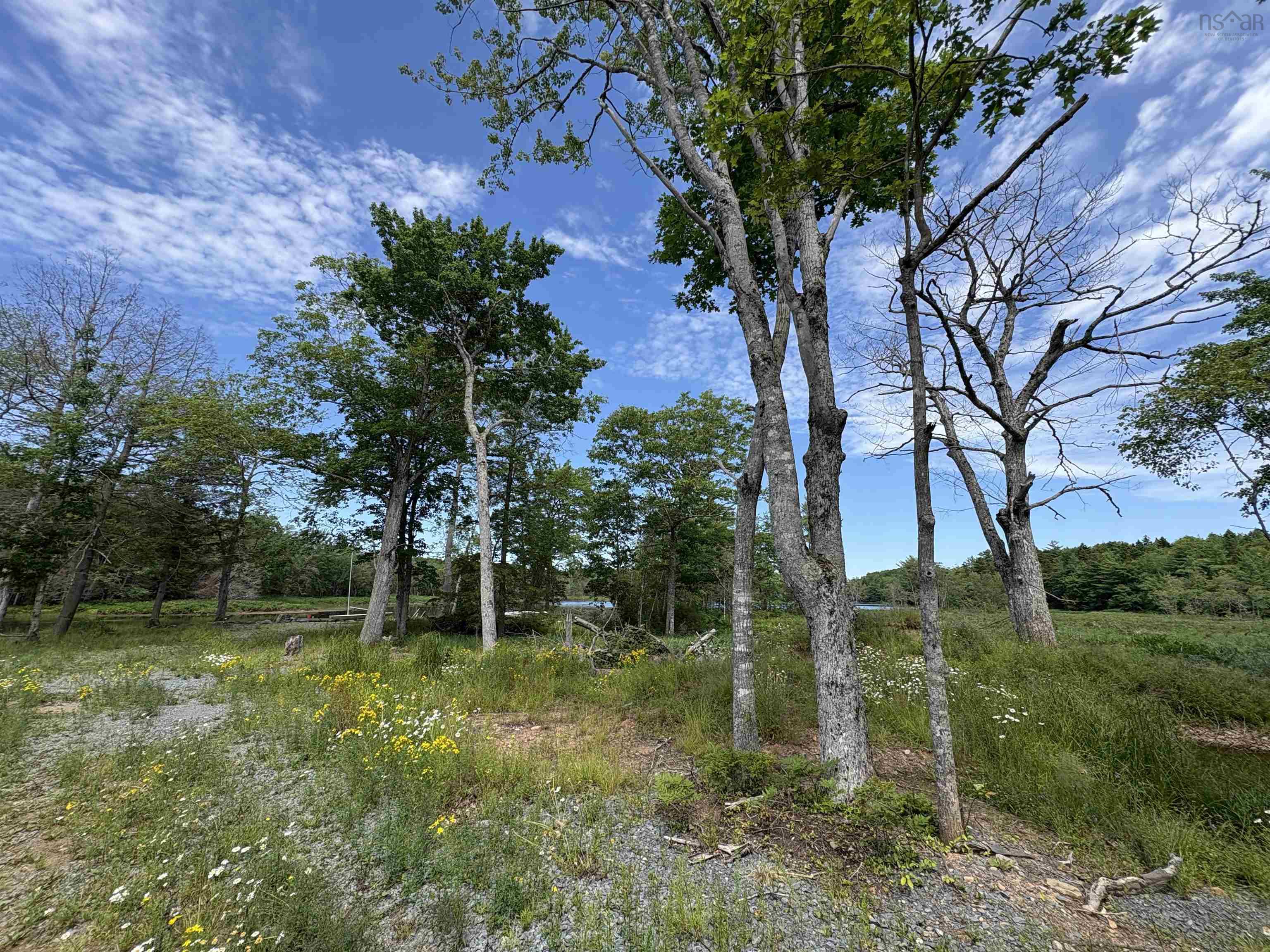 56 Christopher King Lane, Oakfield, NS (MLS 202517024)