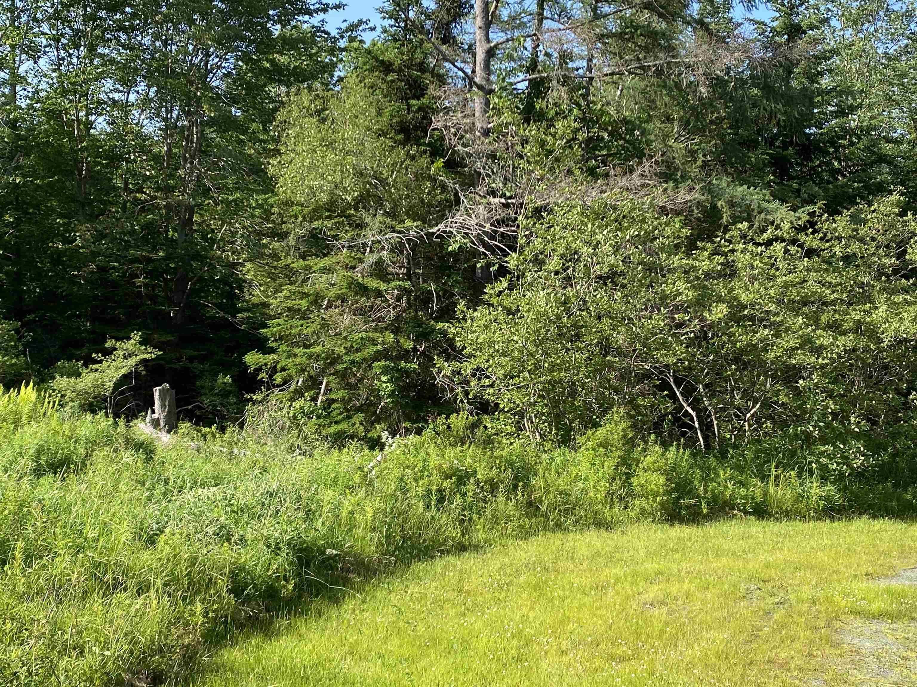 46 Homer Lane, Porters Lake, NS (MLS 202517038)