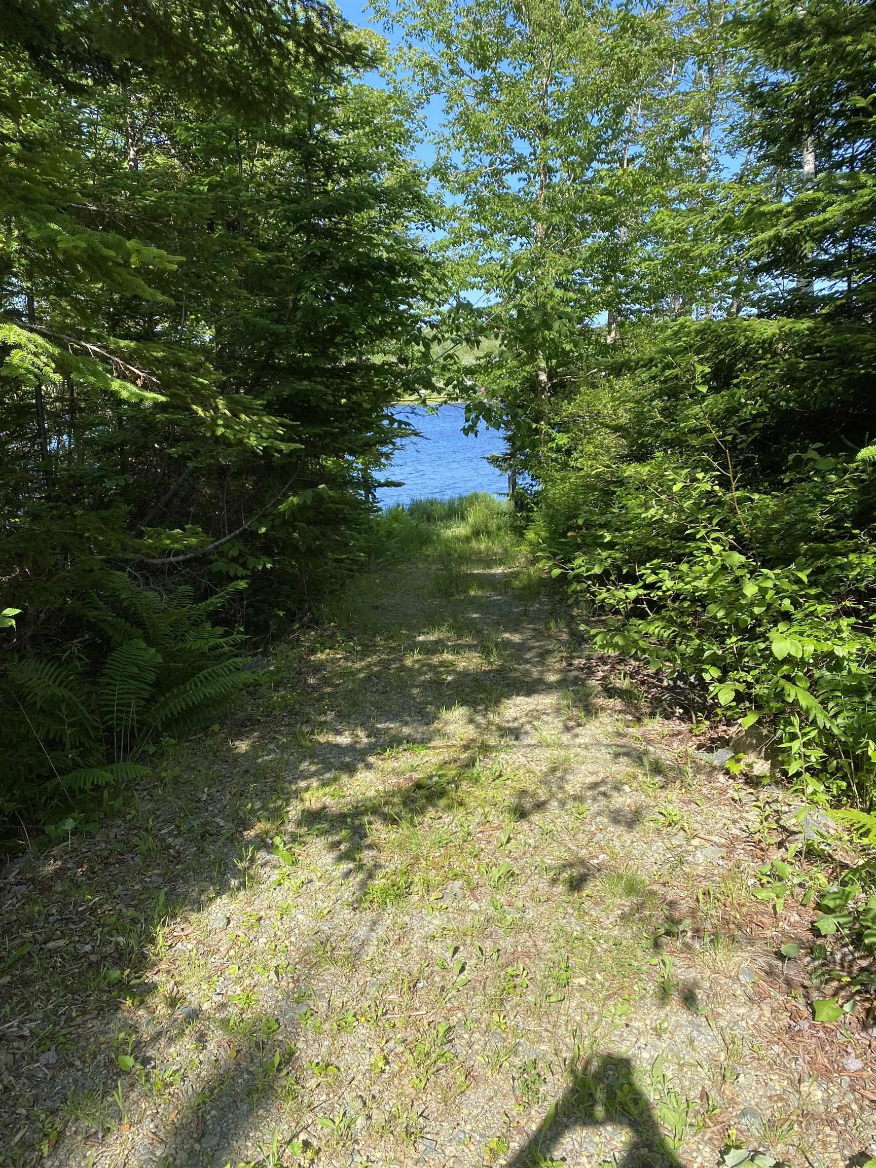 46 Homer Lane, Porters Lake, NS (MLS 202517038)