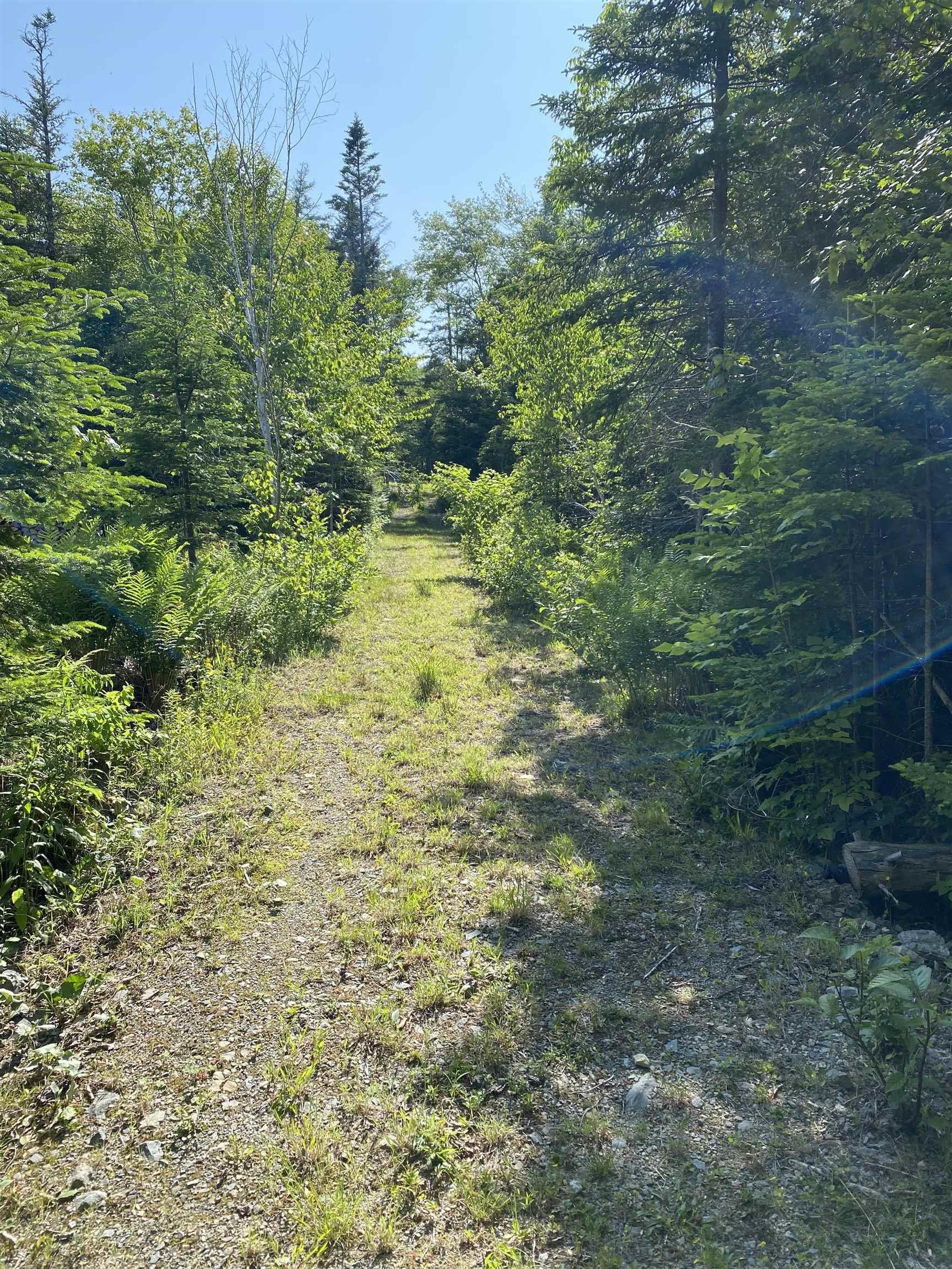 46 Homer Lane, Porters Lake, NS (MLS 202517038)