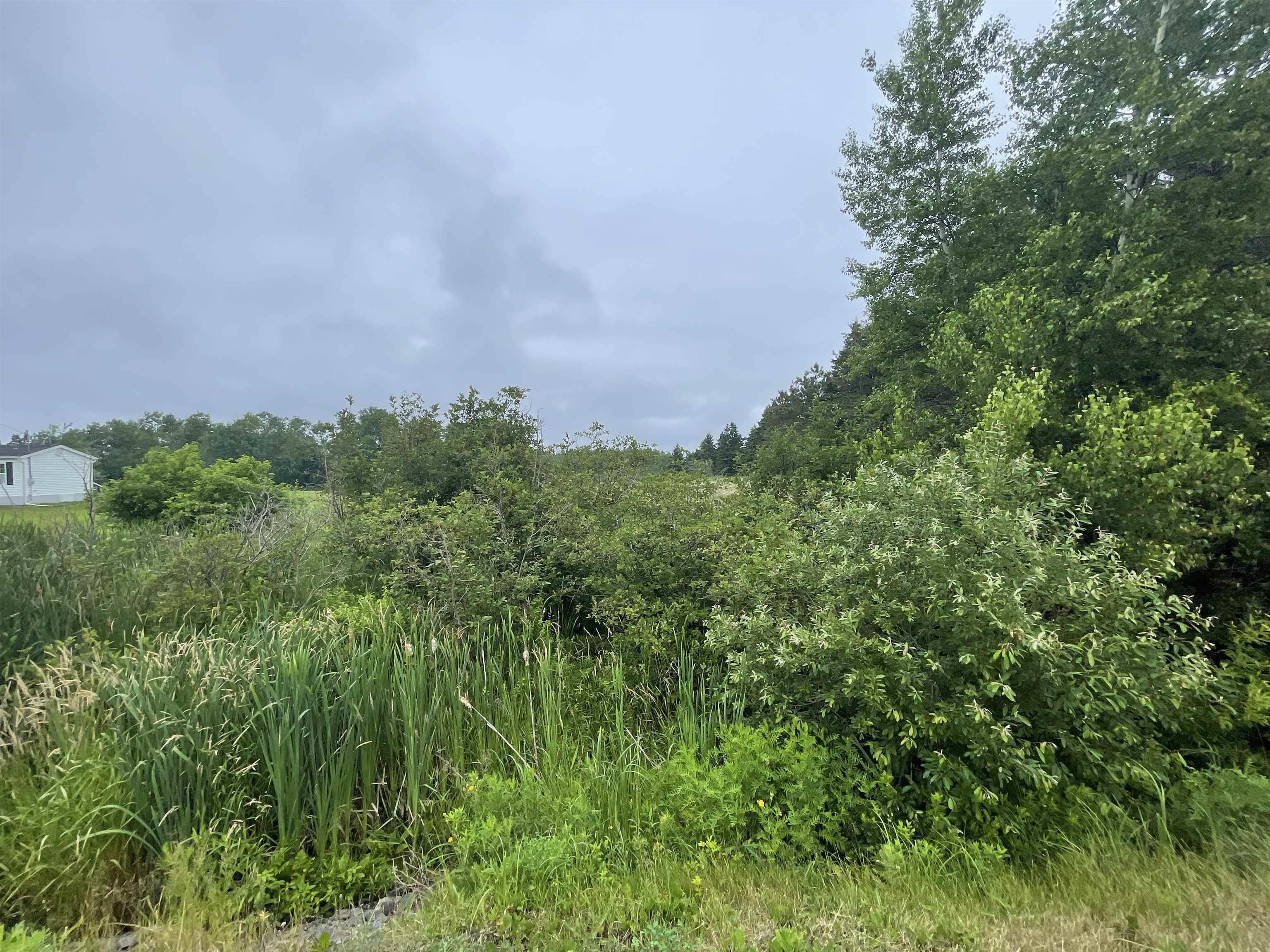 Vl Gulf Shore Road, Gulf Shore, NS (MLS 202517145)