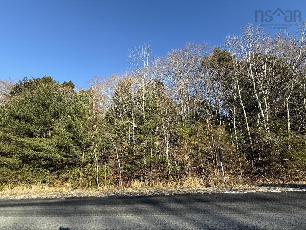 $25,000.00: Lot Conquerall Mills Road, Hebbville