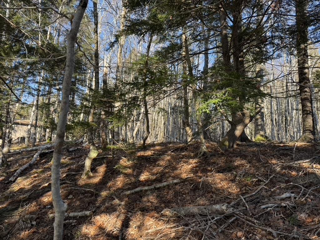 $25,000.00: Lot Conquerall Mills Road, Hebbville