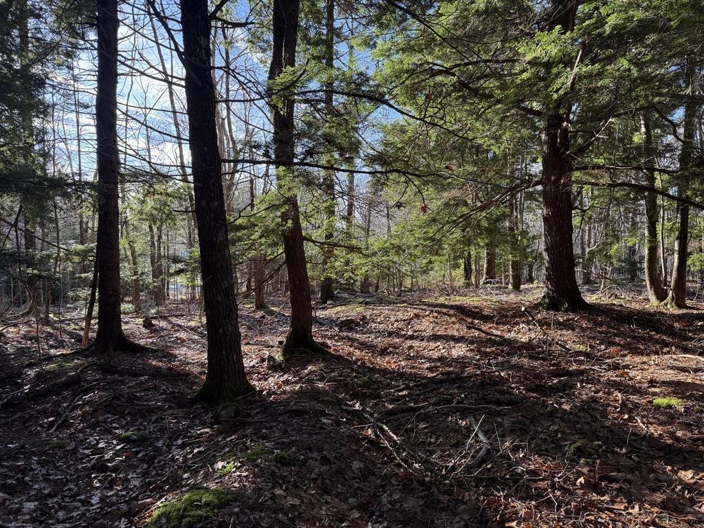 $25,000.00: Lot Conquerall Mills Road, Hebbville