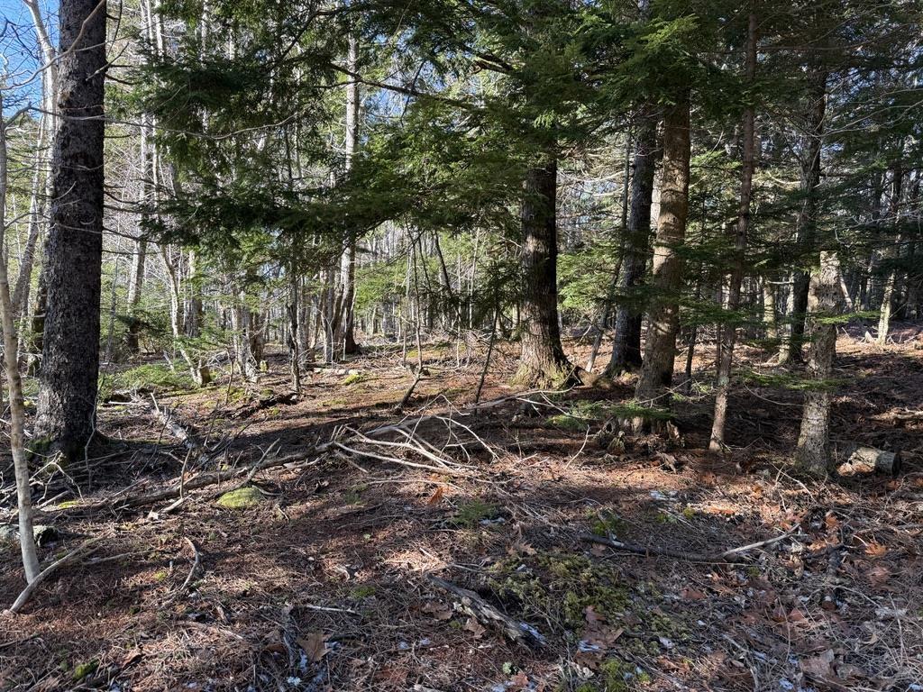 $25,000.00: Lot Conquerall Mills Road, Hebbville