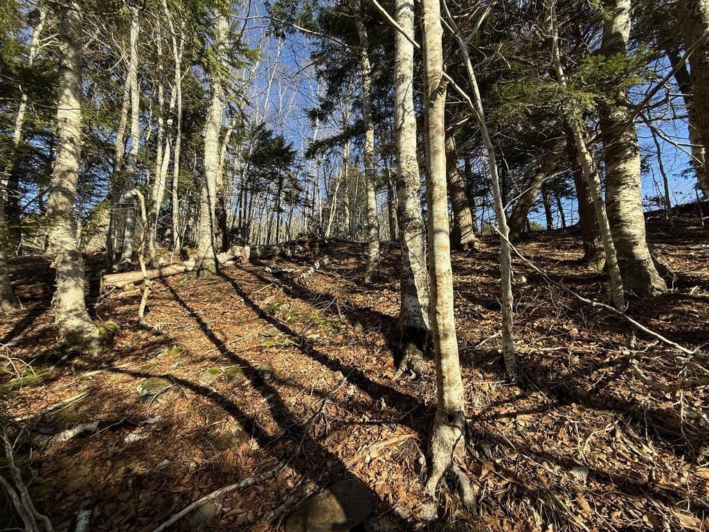 $25,000.00: Lot Conquerall Mills Road, Hebbville