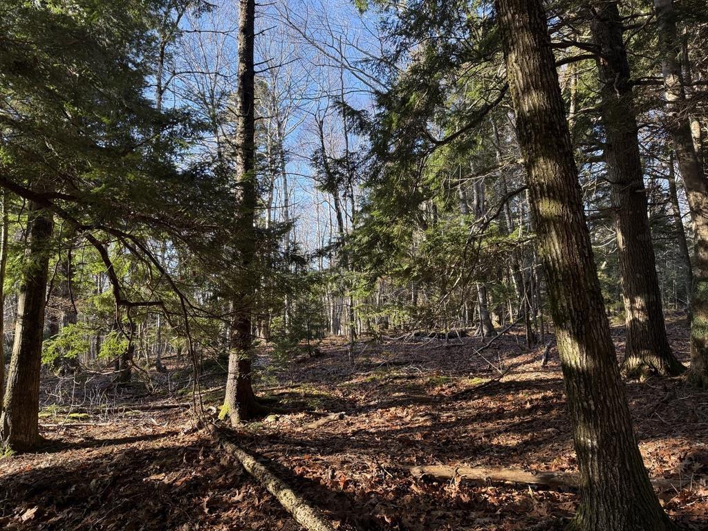 $25,000.00: Lot Conquerall Mills Road, Hebbville