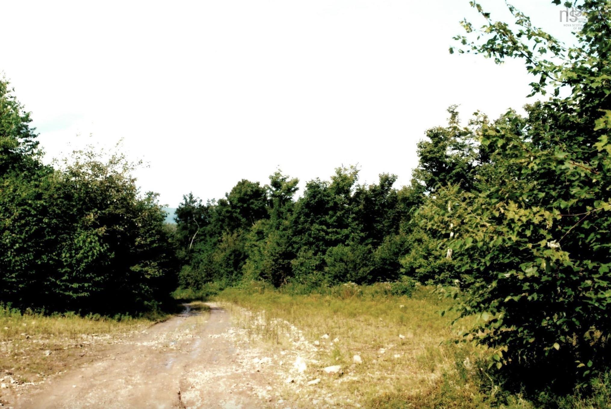 $29,900.00: Lots 2 & 3 Big Brook Road, Big Brook