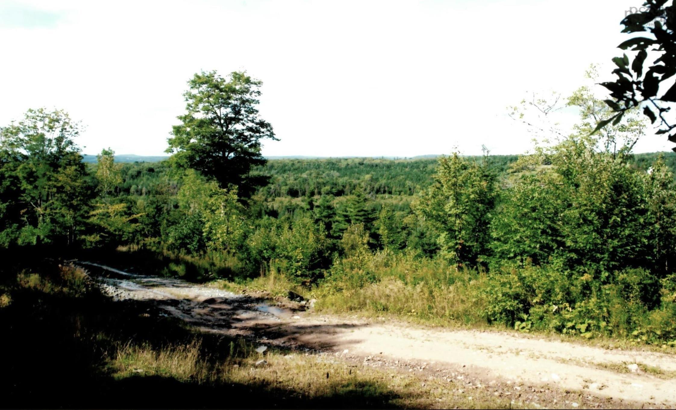 $29,900.00: Lots 2 & 3 Big Brook Road, Big Brook