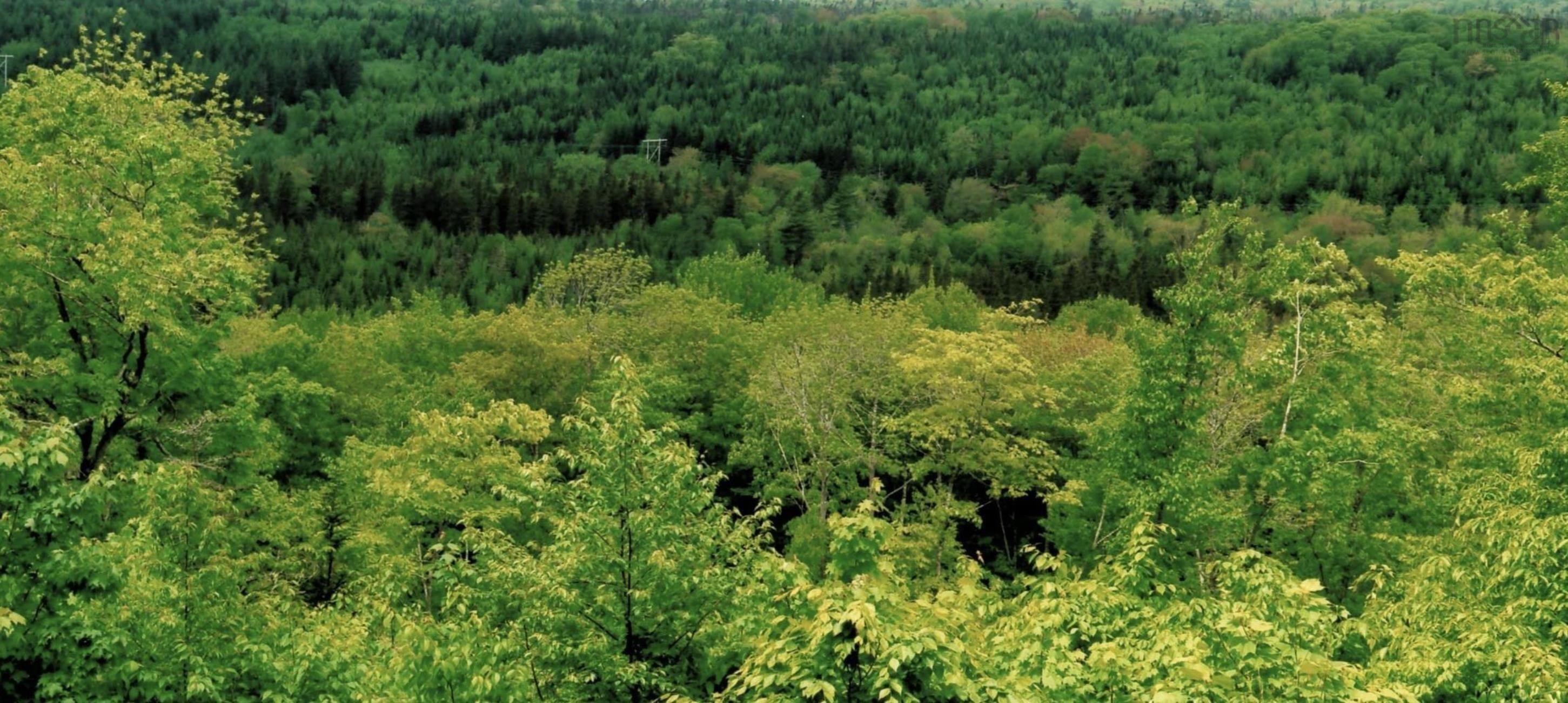 $29,900.00: Lots 2 & 3 Big Brook Road, Big Brook