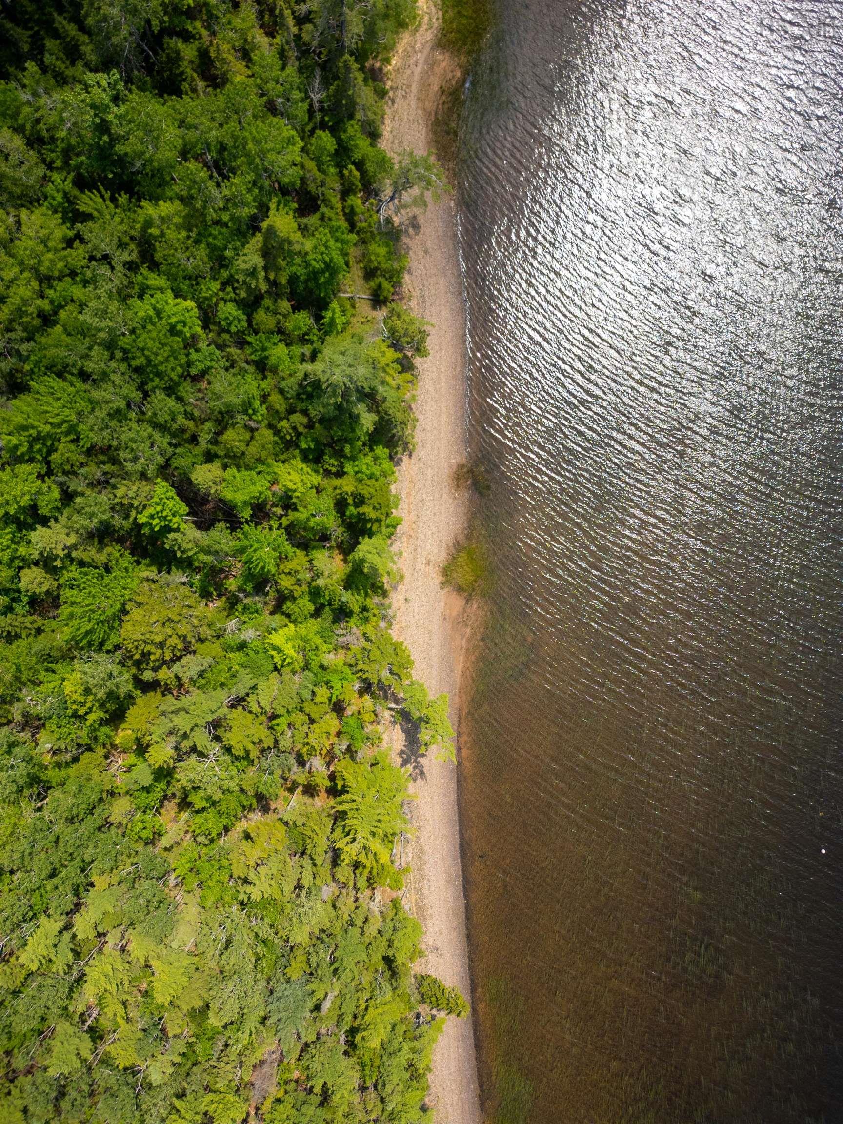 $1,499,999.00: 809 Horne Settlement Road, Enfield