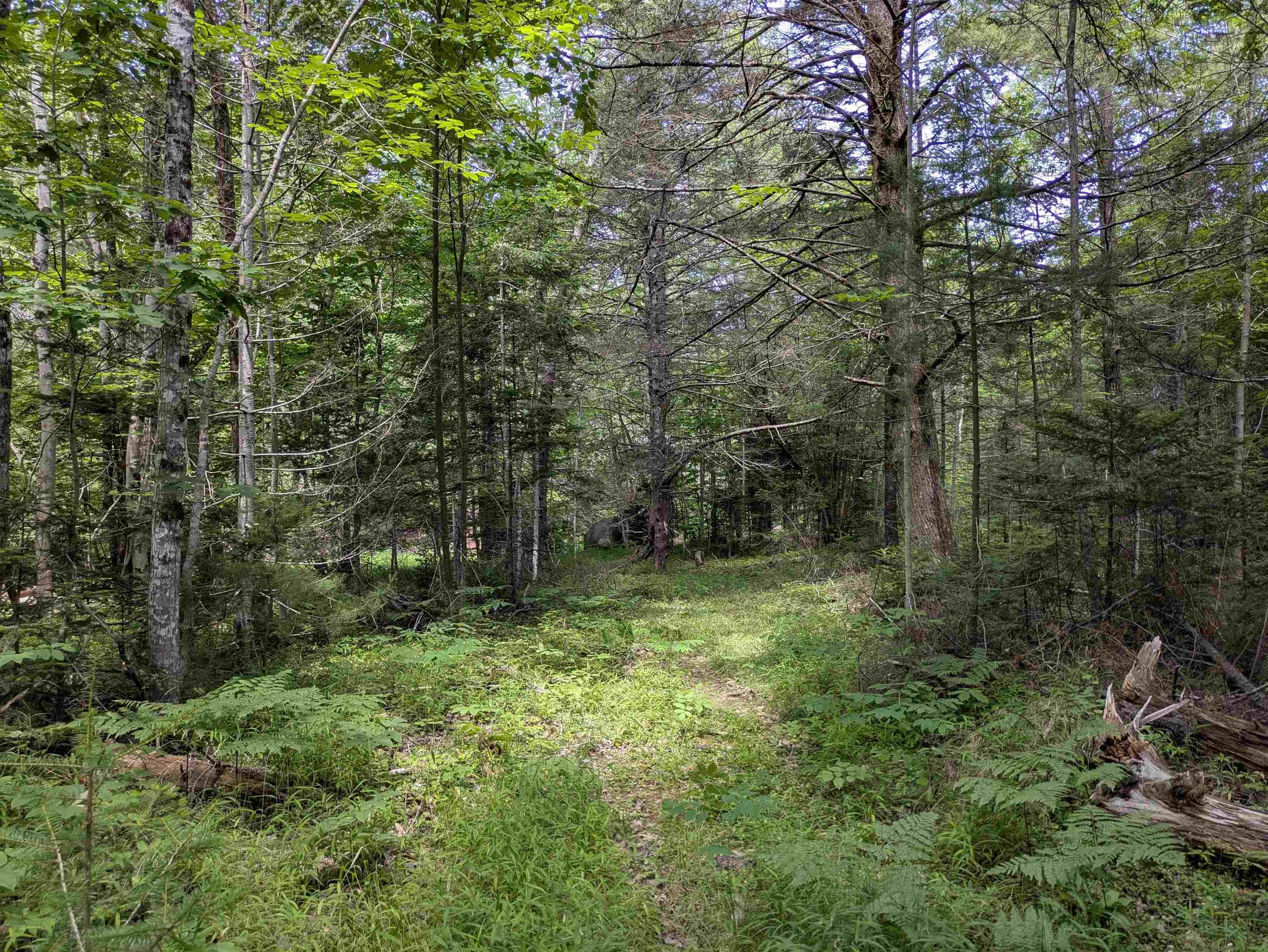 $49,000.00: Lot Mill Road, Round Hill