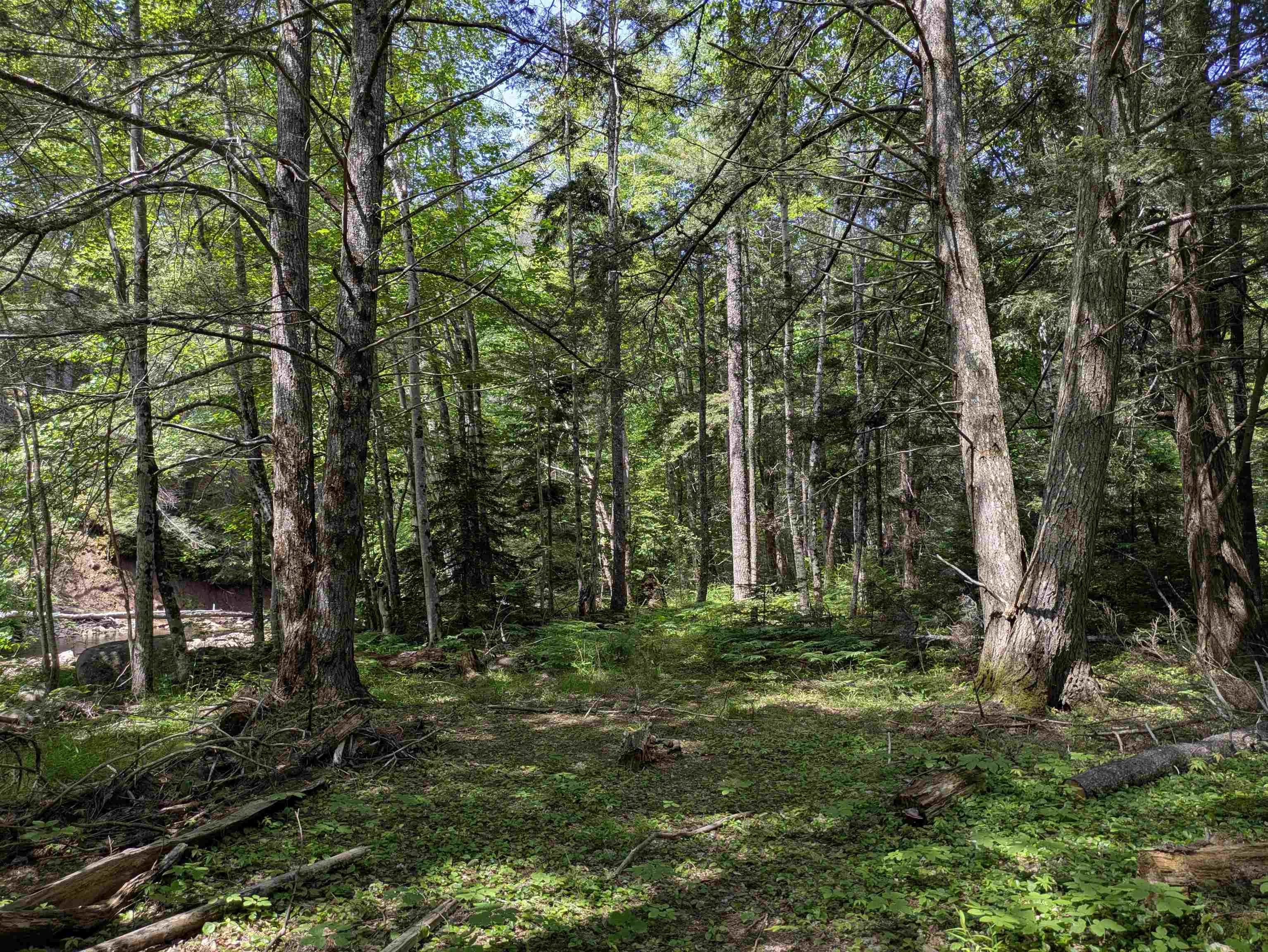 $49,000.00: Lot Mill Road, Round Hill