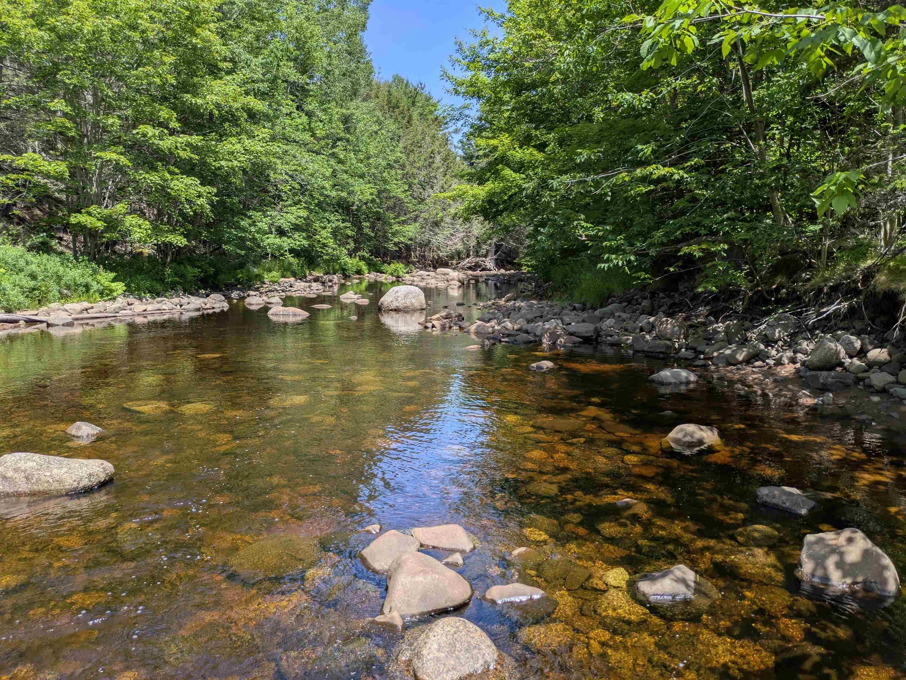 $49,000.00: Lot Mill Road, Round Hill