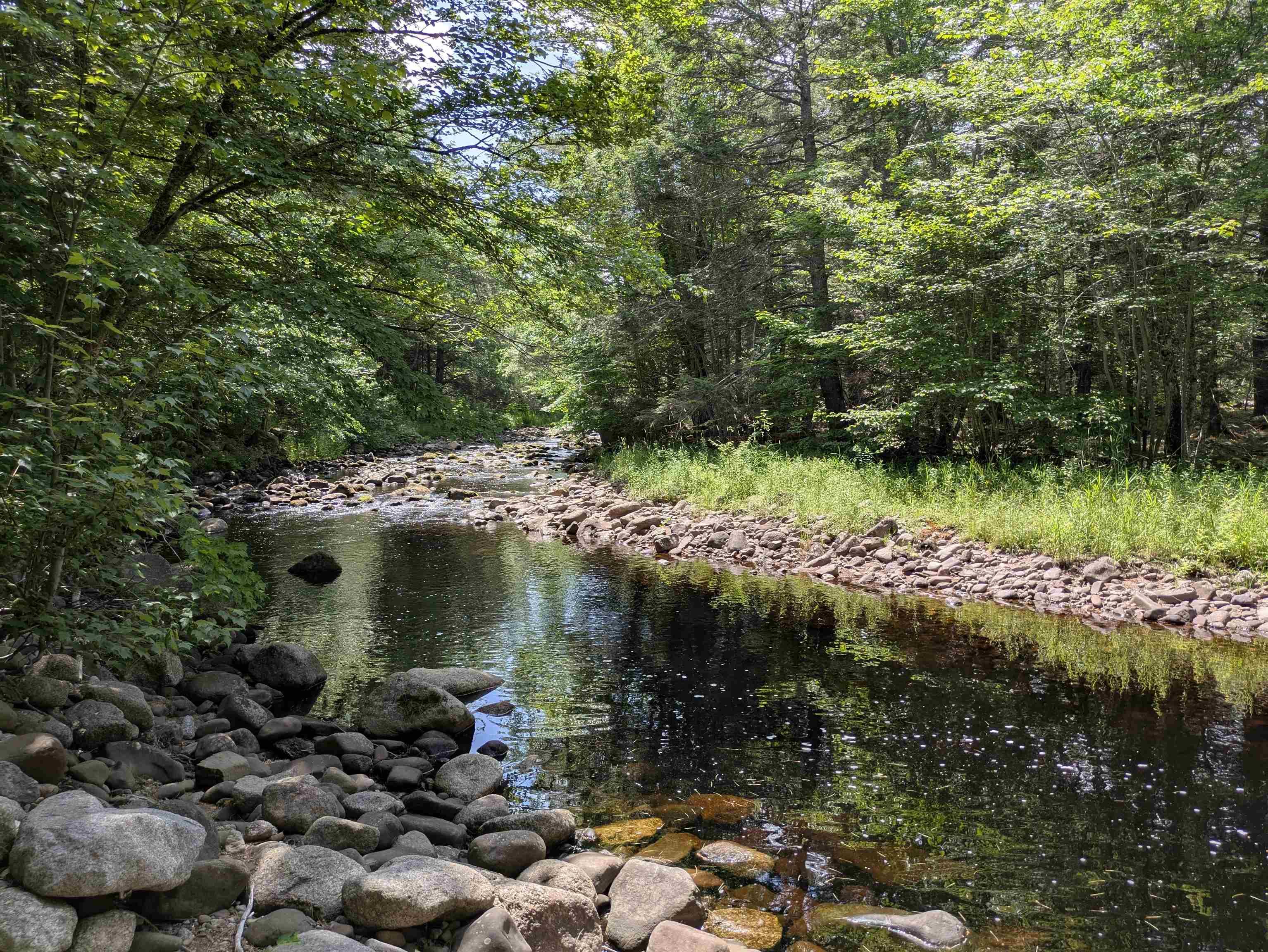 $49,000.00: Lot Mill Road, Round Hill