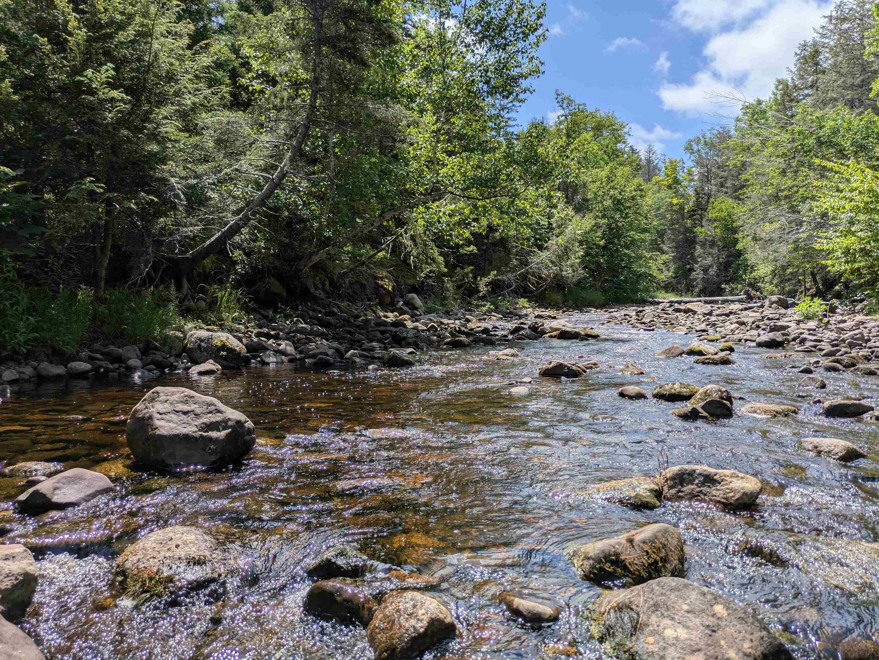 $49,000.00: Lot Mill Road, Round Hill