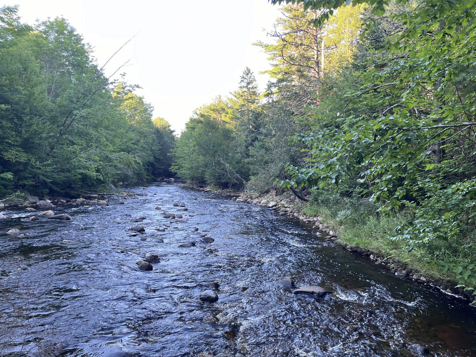 $49,000.00: Lot Mill Road, Round Hill