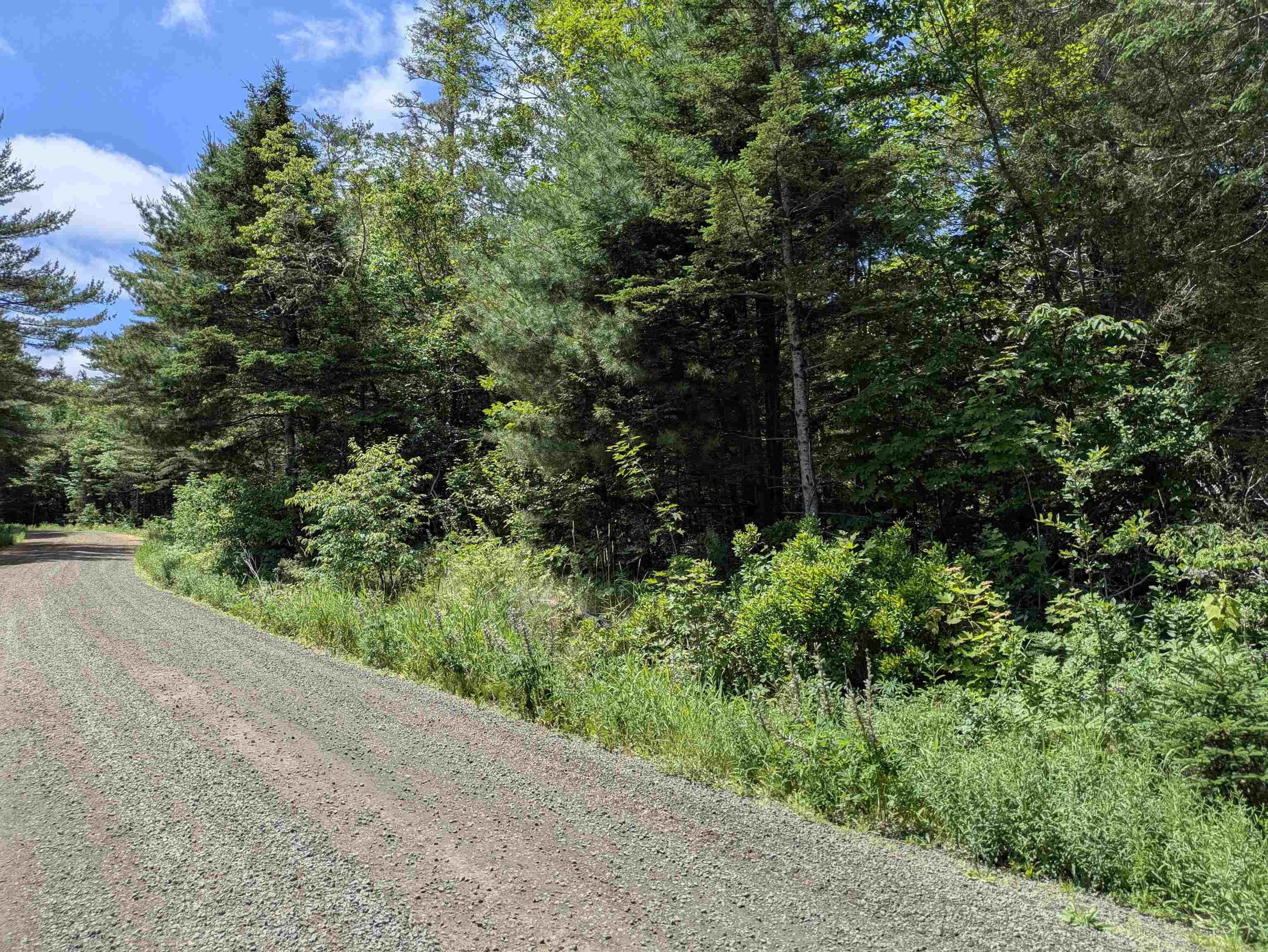 $49,000.00: Lot Mill Road, Round Hill