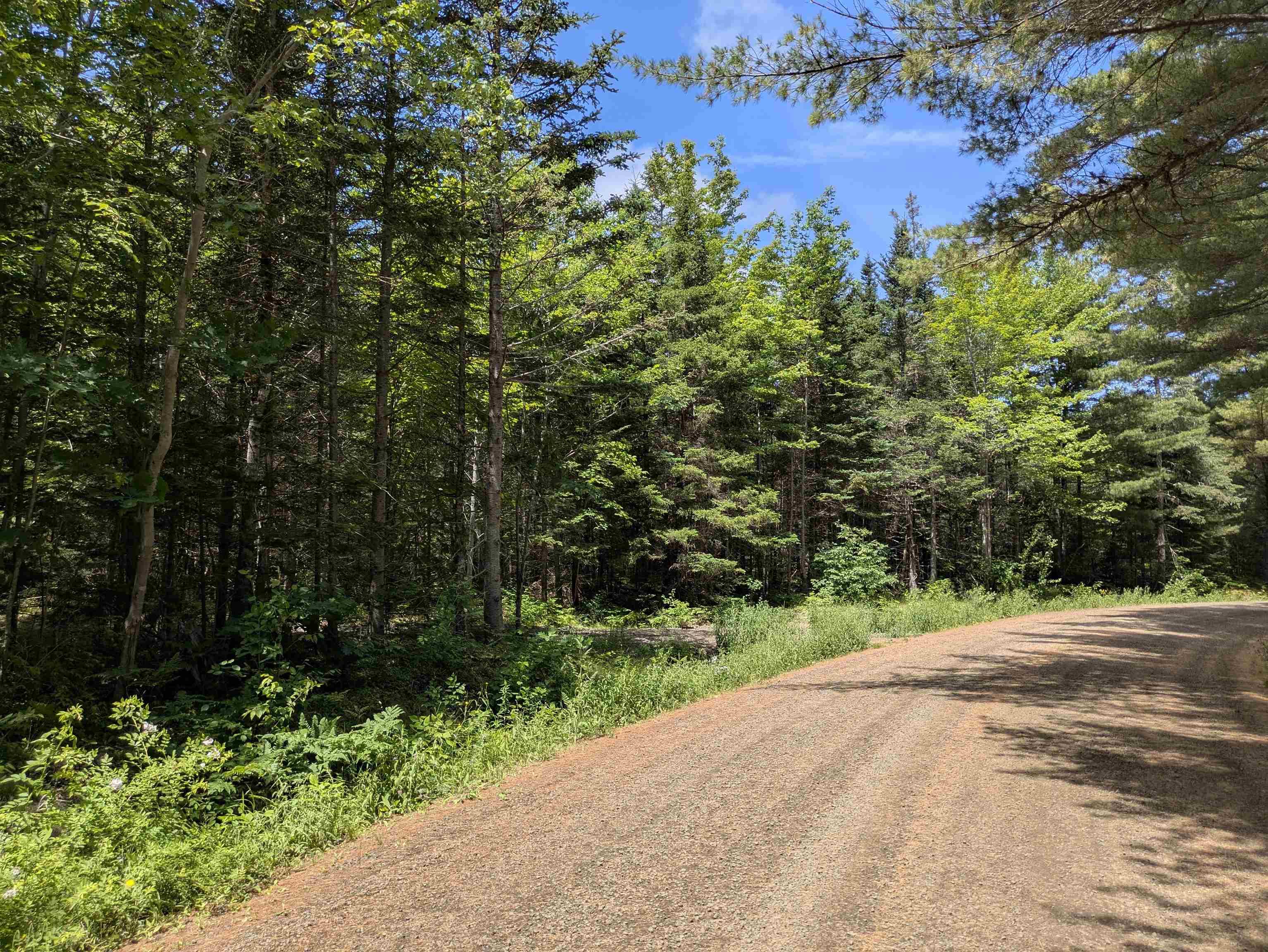 $49,000.00: Lot Mill Road, Round Hill