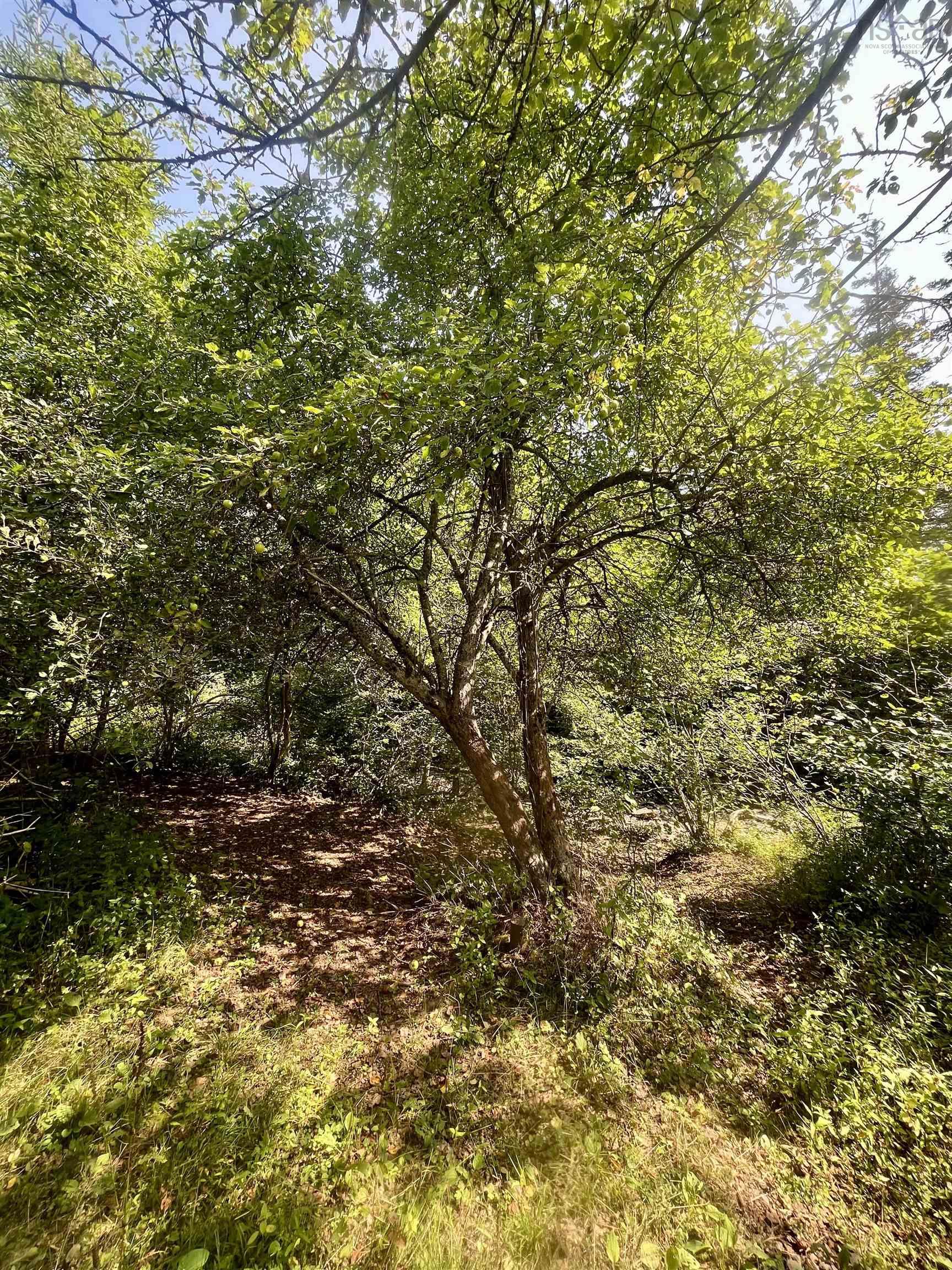 $285,000.00: 1520 Back Road, River Bourgeois