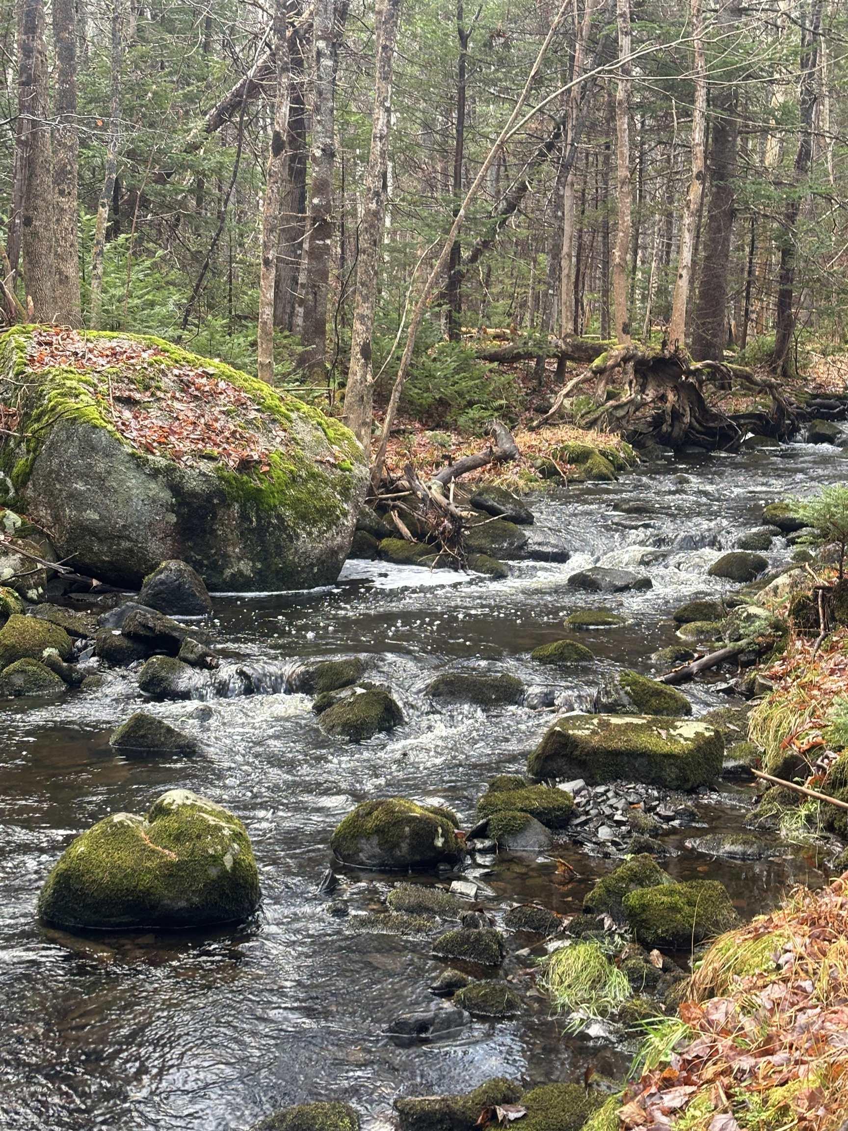 $129,000.00: 1398 Waldeck Line Road, Waldeck East