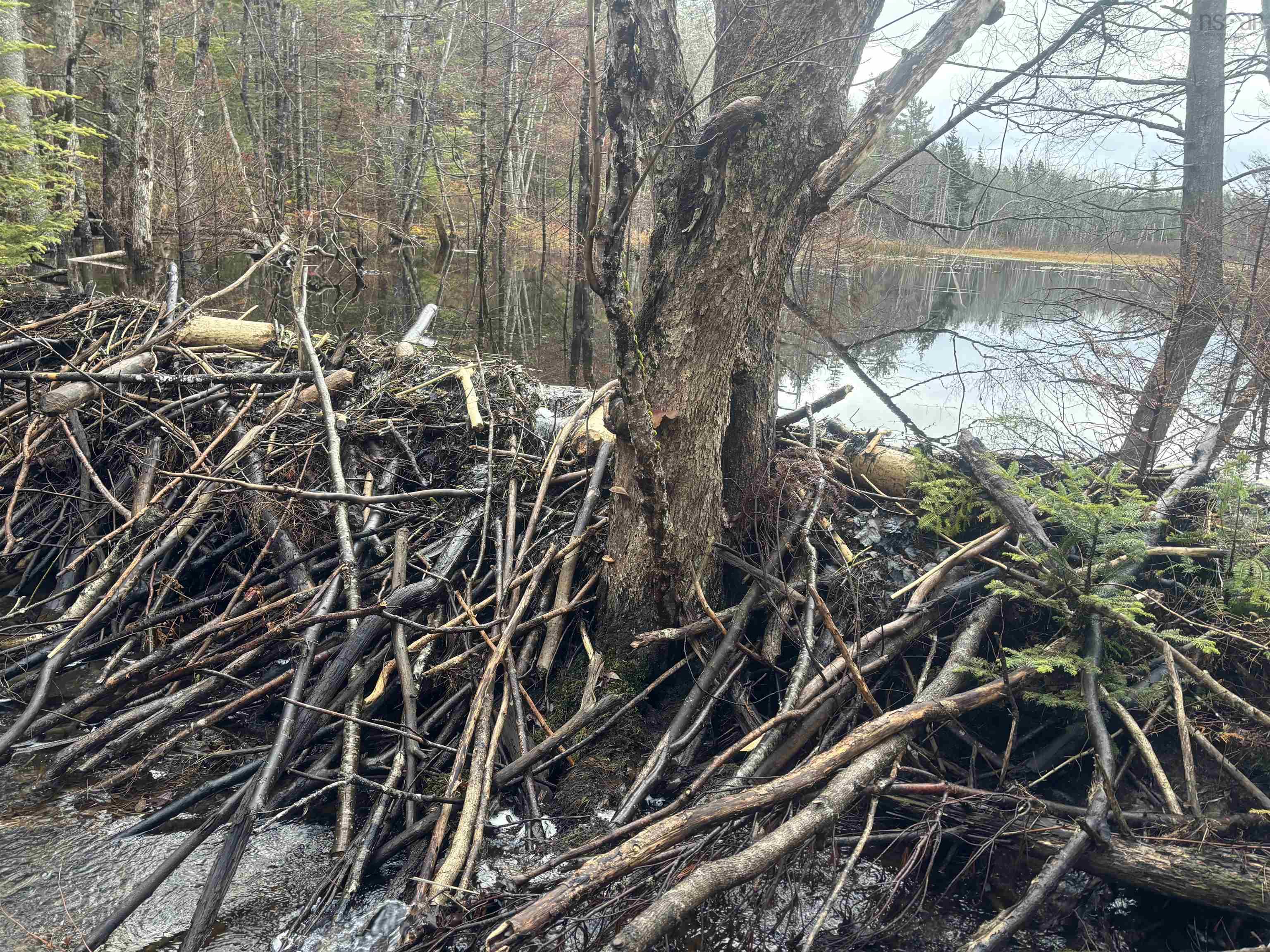 $129,000.00: 1398 Waldeck Line Road, Waldeck East