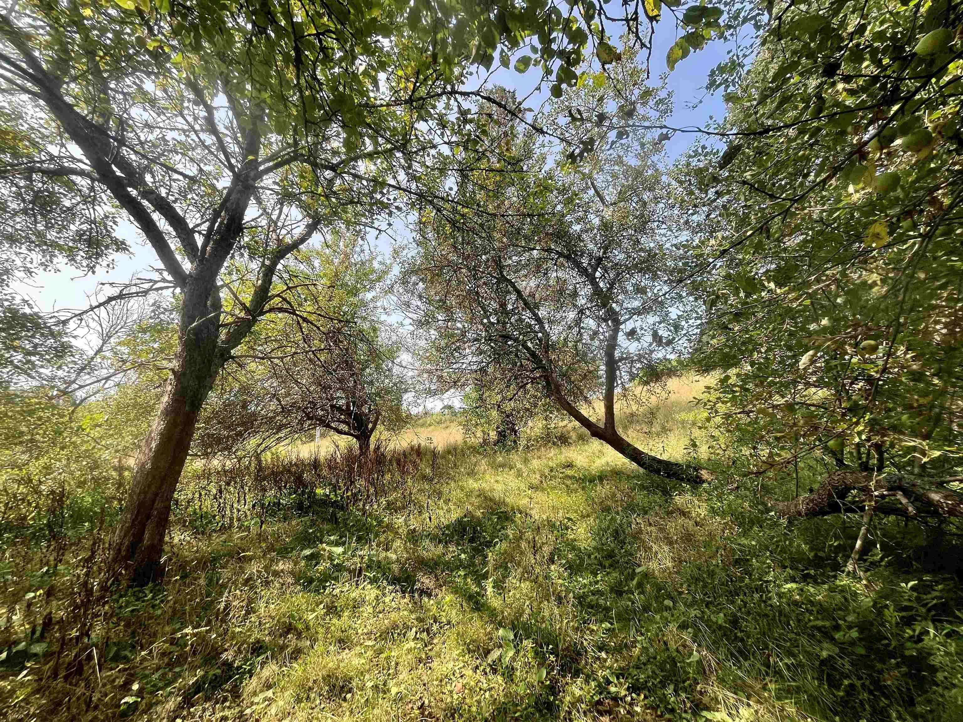 $285,000.00: 1520 Back Road, River Bourgeois